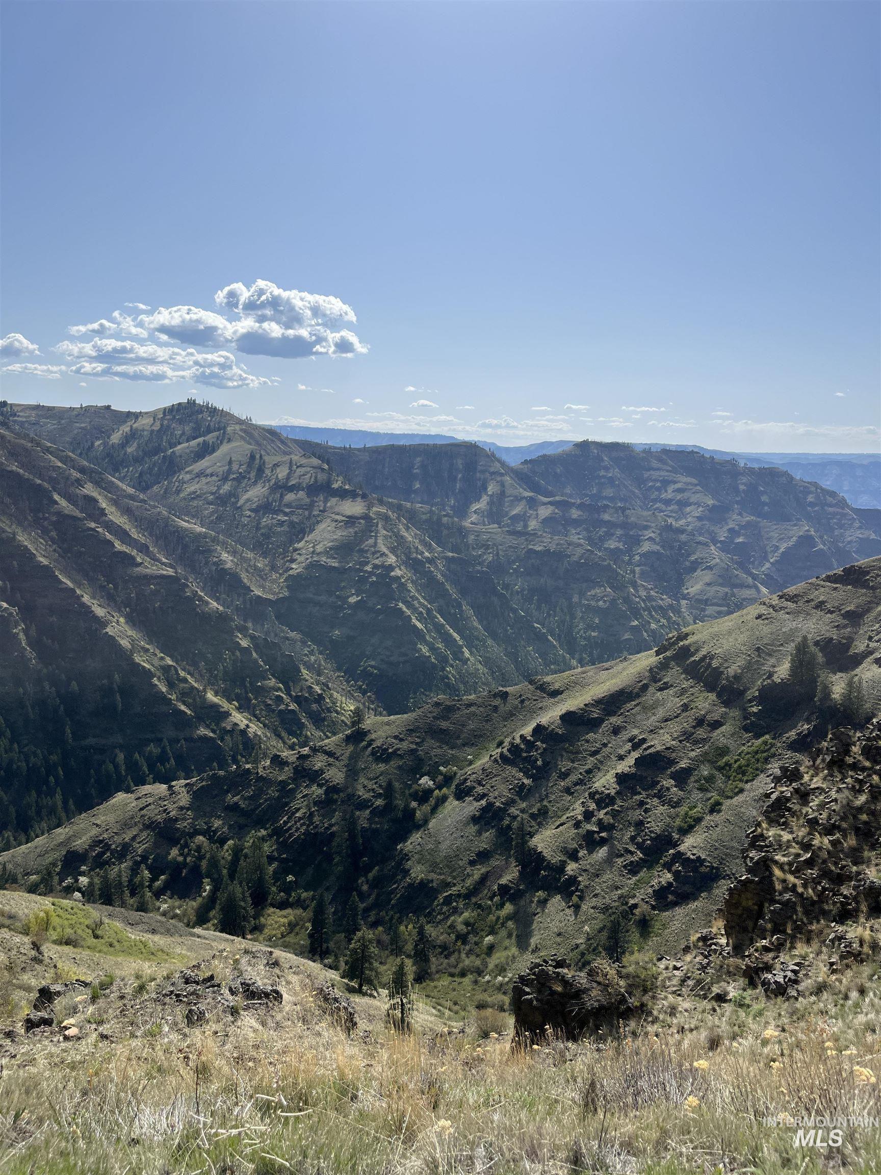 478 Deer Gulch Rd, CottonWood, Idaho 83522, Land For Sale, Price $499,000,MLS 98980190