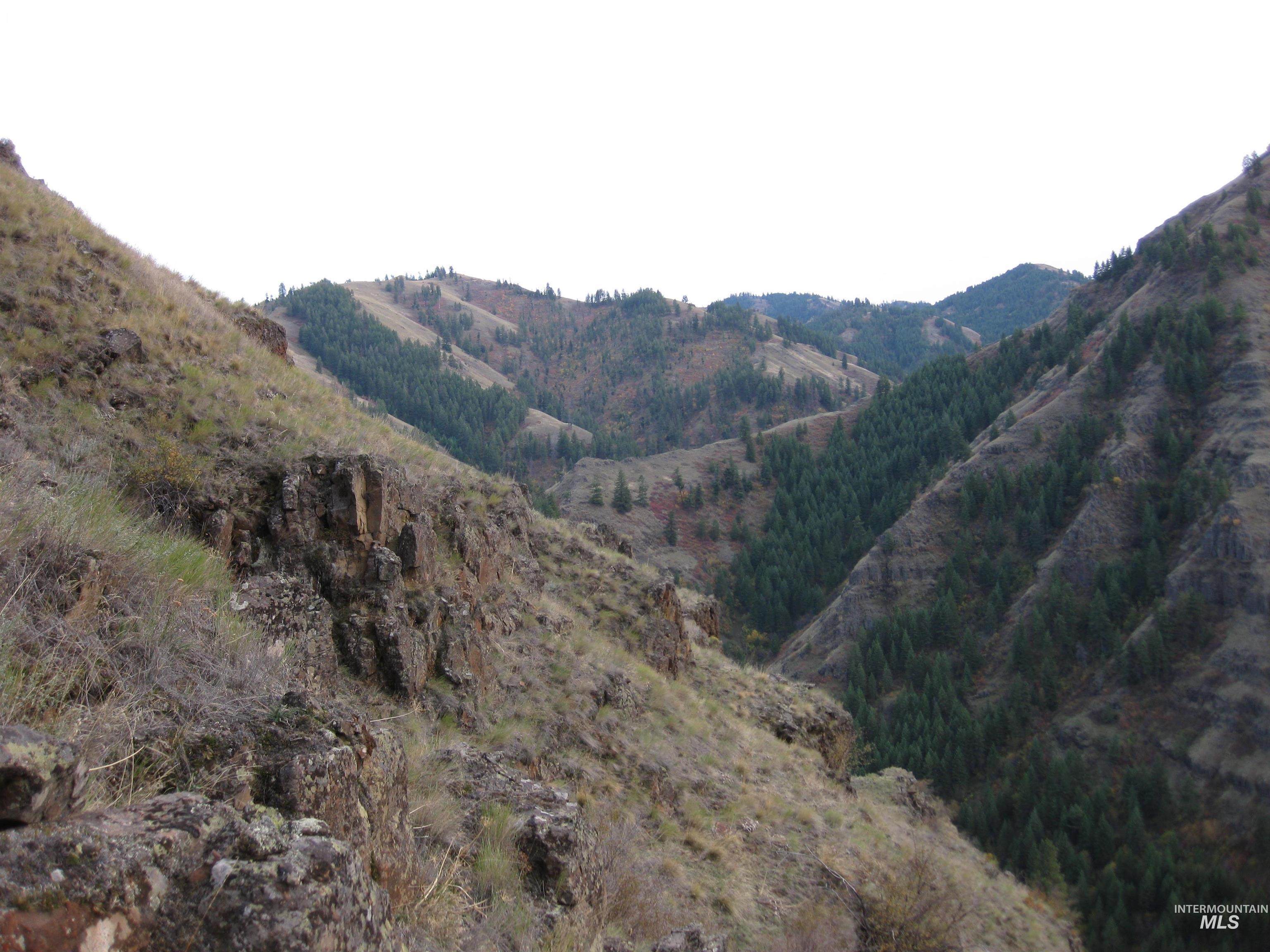 478 Deer Gulch Rd, CottonWood, Idaho 83522, Land For Sale, Price $499,000,MLS 98980190