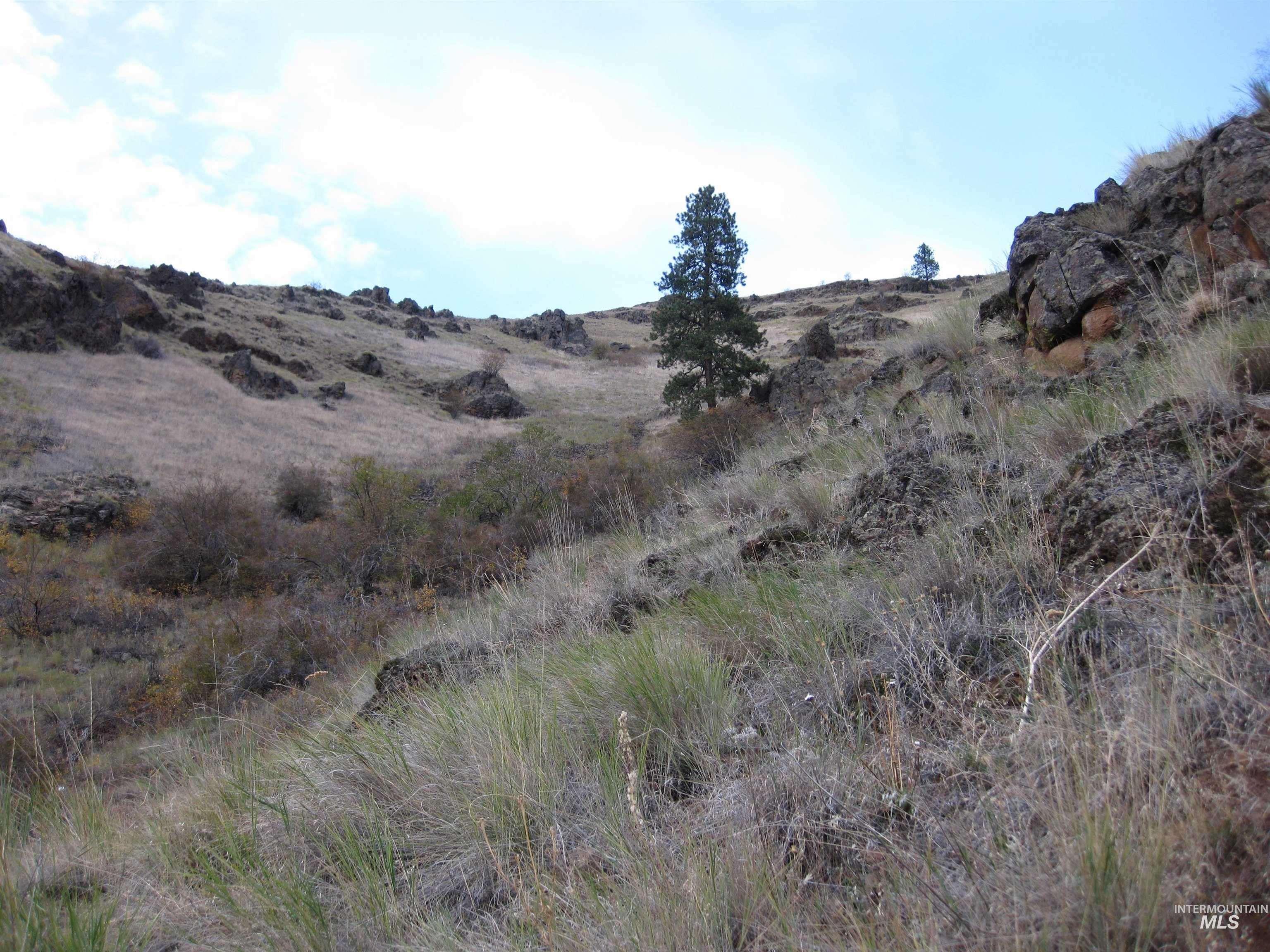478 Deer Gulch Rd, CottonWood, Idaho 83522, Land For Sale, Price $499,000,MLS 98980190