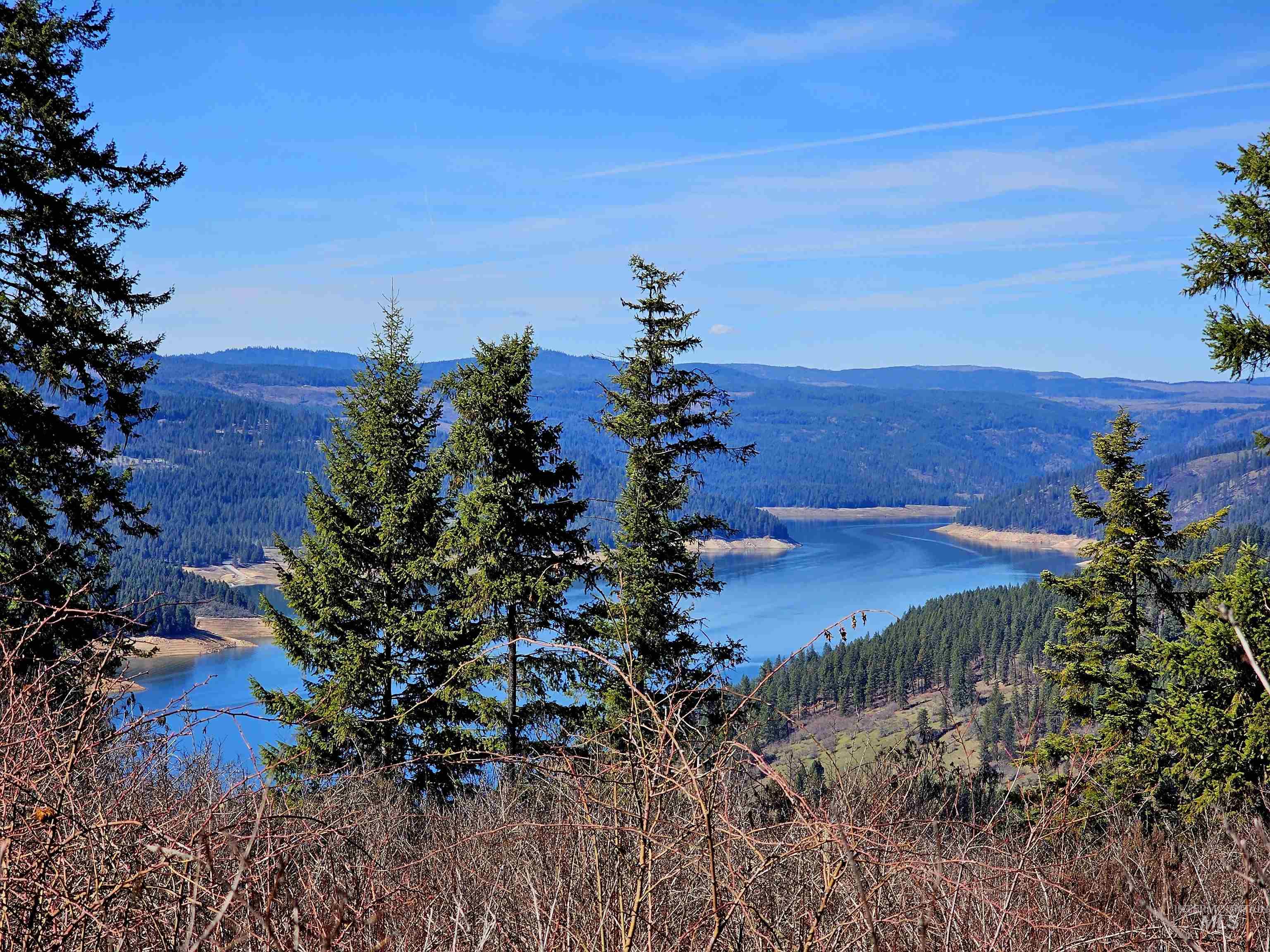 86 Moon River Lane, Orofino, Idaho 83544, Land For Sale, Price $299,000,MLS 98980195