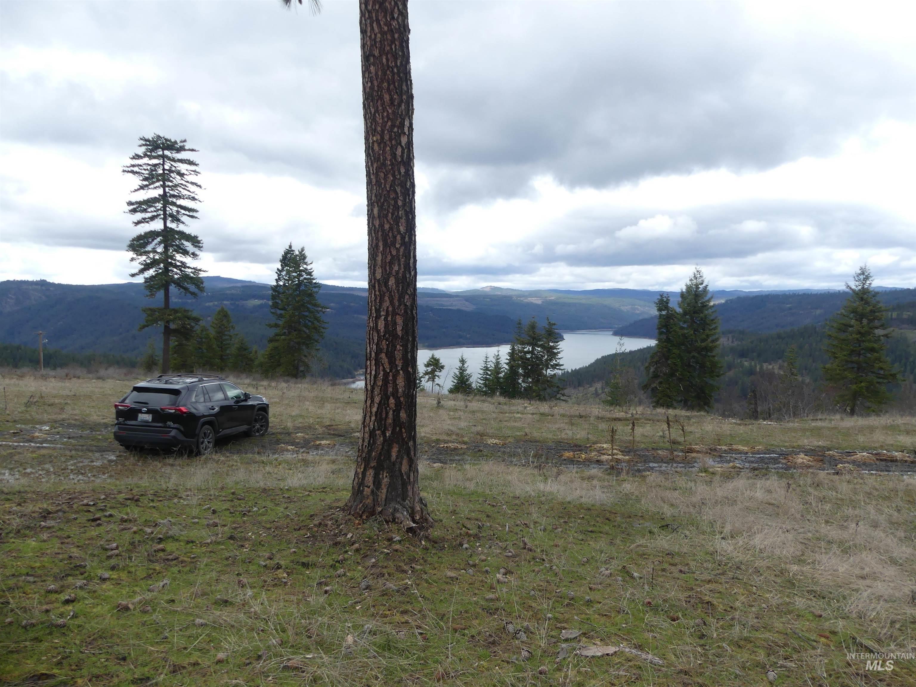 86 Moon River Lane, Orofino, Idaho 83544, Land For Sale, Price $289,000, 98980195