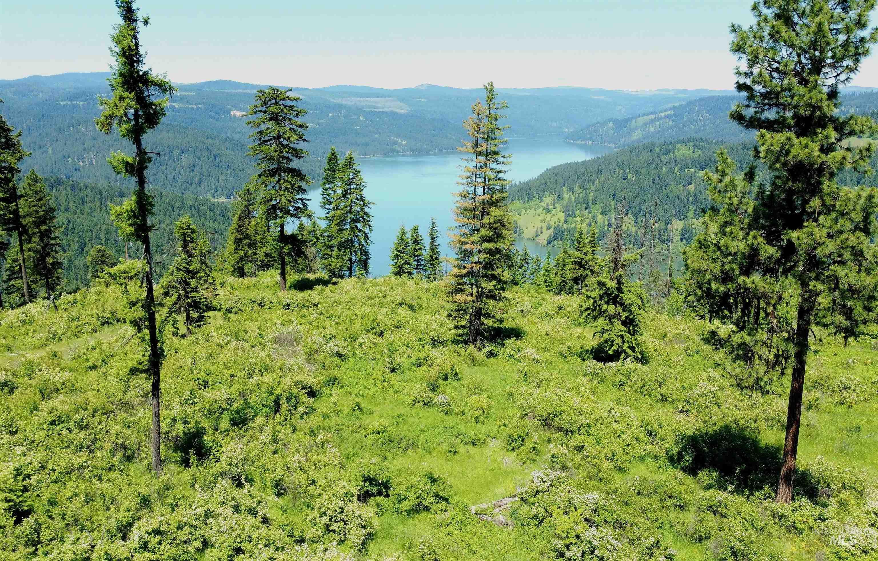 86 Moon River Lane, Orofino, Idaho 83544, Land For Sale, Price $289,000, 98980195