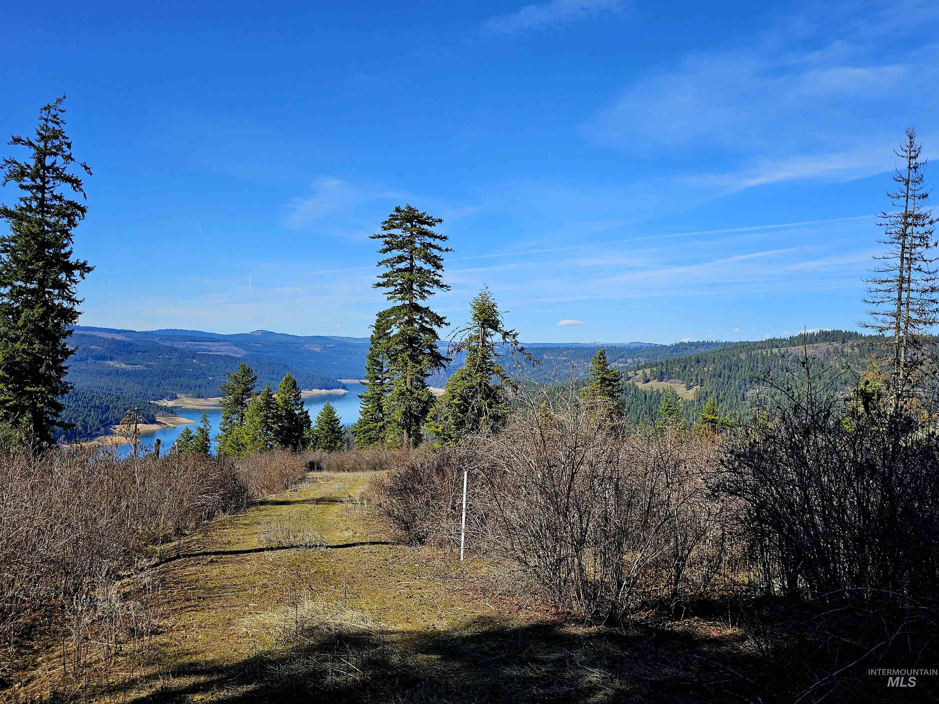 86 Moon River Lane, Orofino, Idaho 83544, Land For Sale, Price $289,000, 98980195