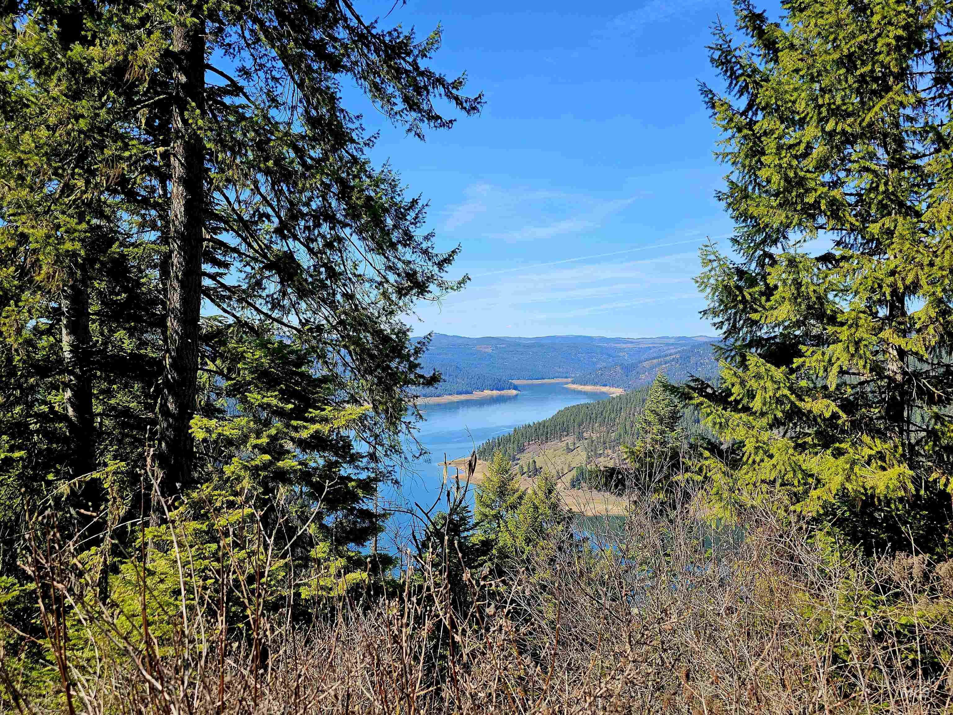 86 Moon River Lane, Orofino, Idaho 83544, Land For Sale, Price $289,000, 98980195