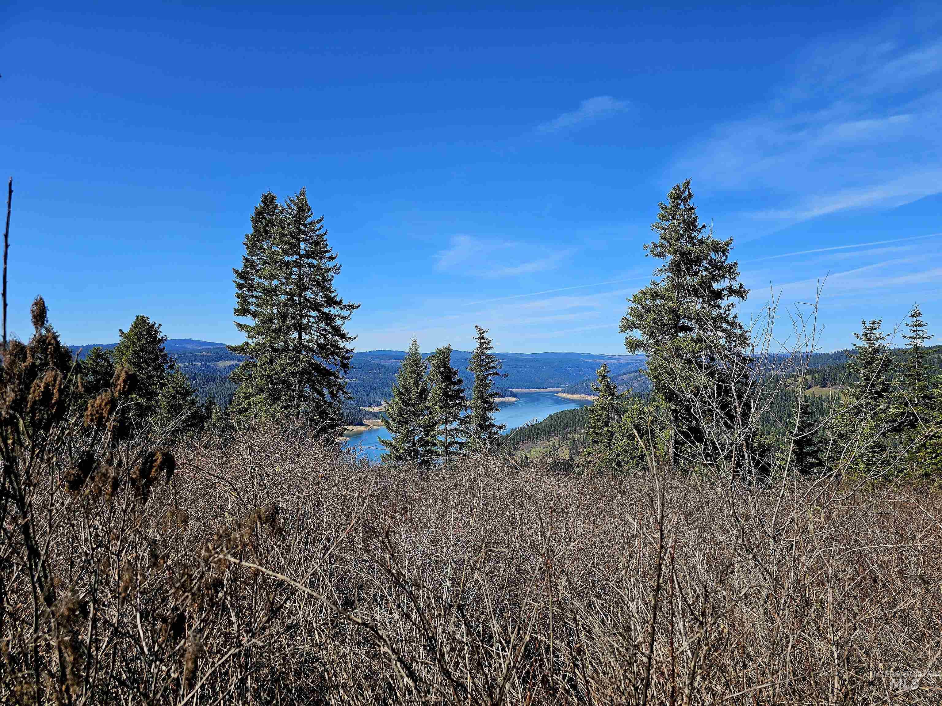 86 Moon River Lane, Orofino, Idaho 83544, Land For Sale, Price $299,000,MLS 98980195