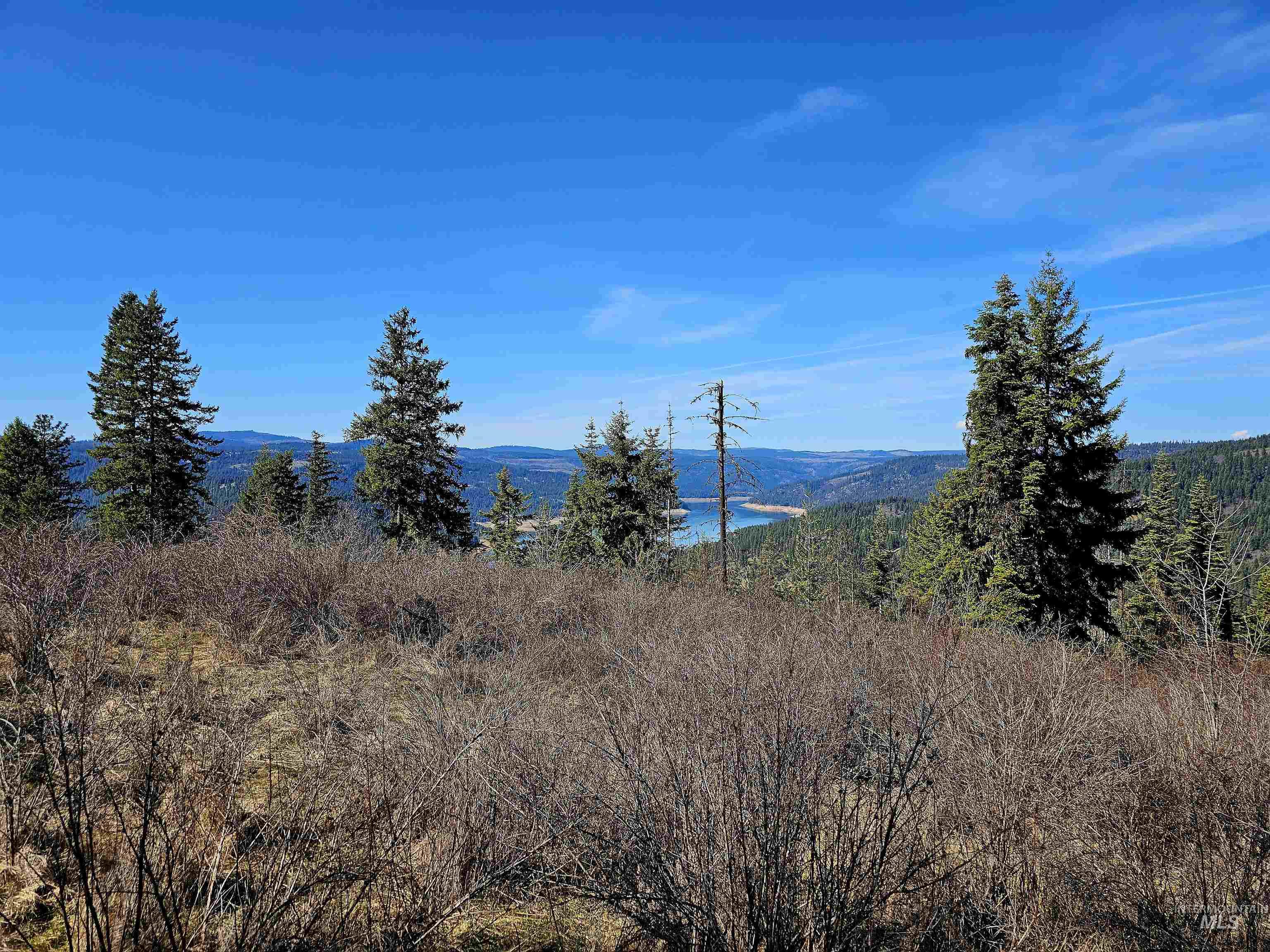 86 Moon River Lane, Orofino, Idaho 83544, Land For Sale, Price $289,000, 98980195