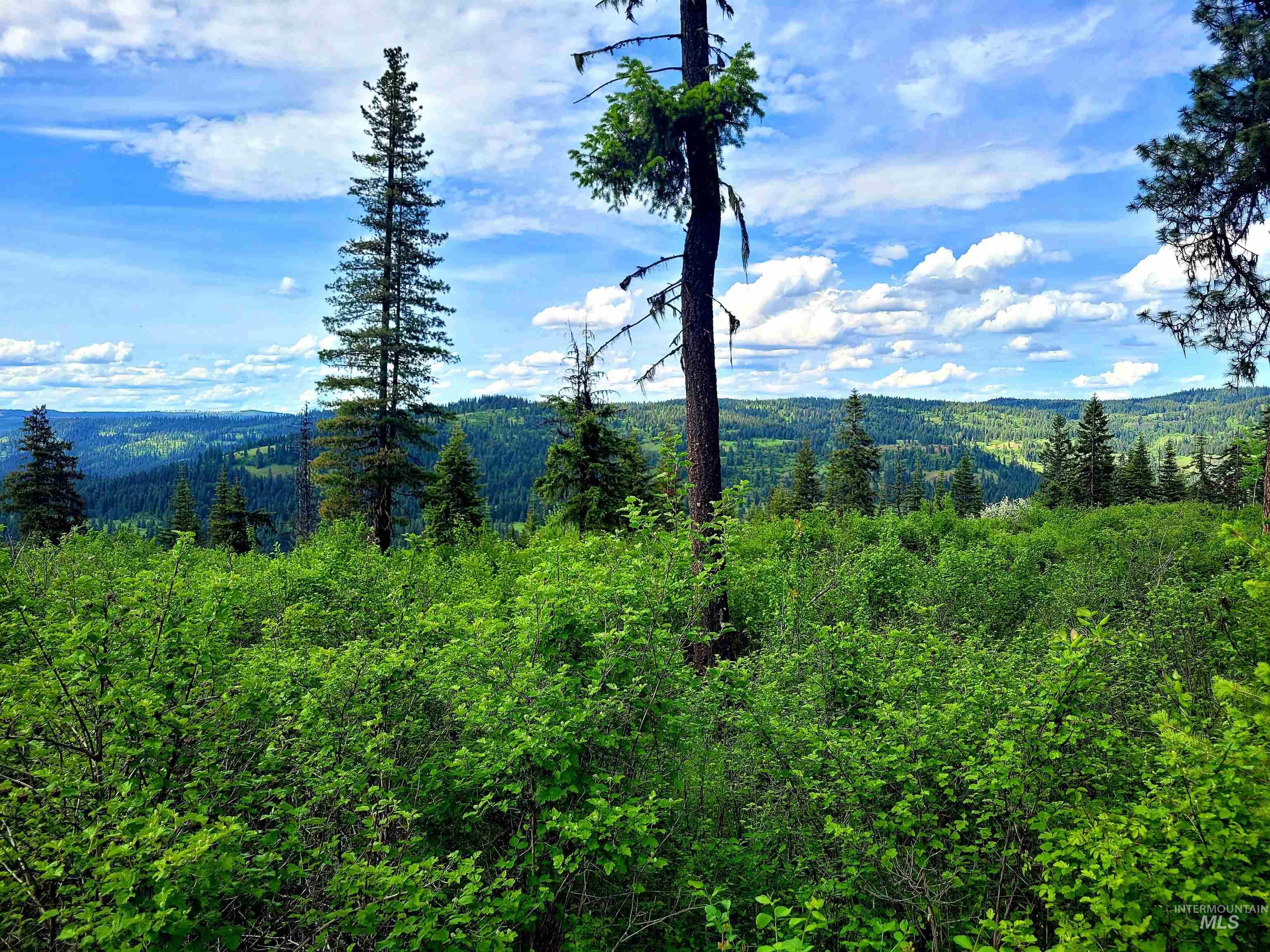 86 Moon River Lane, Orofino, Idaho 83544, Land For Sale, Price $299,000,MLS 98980195