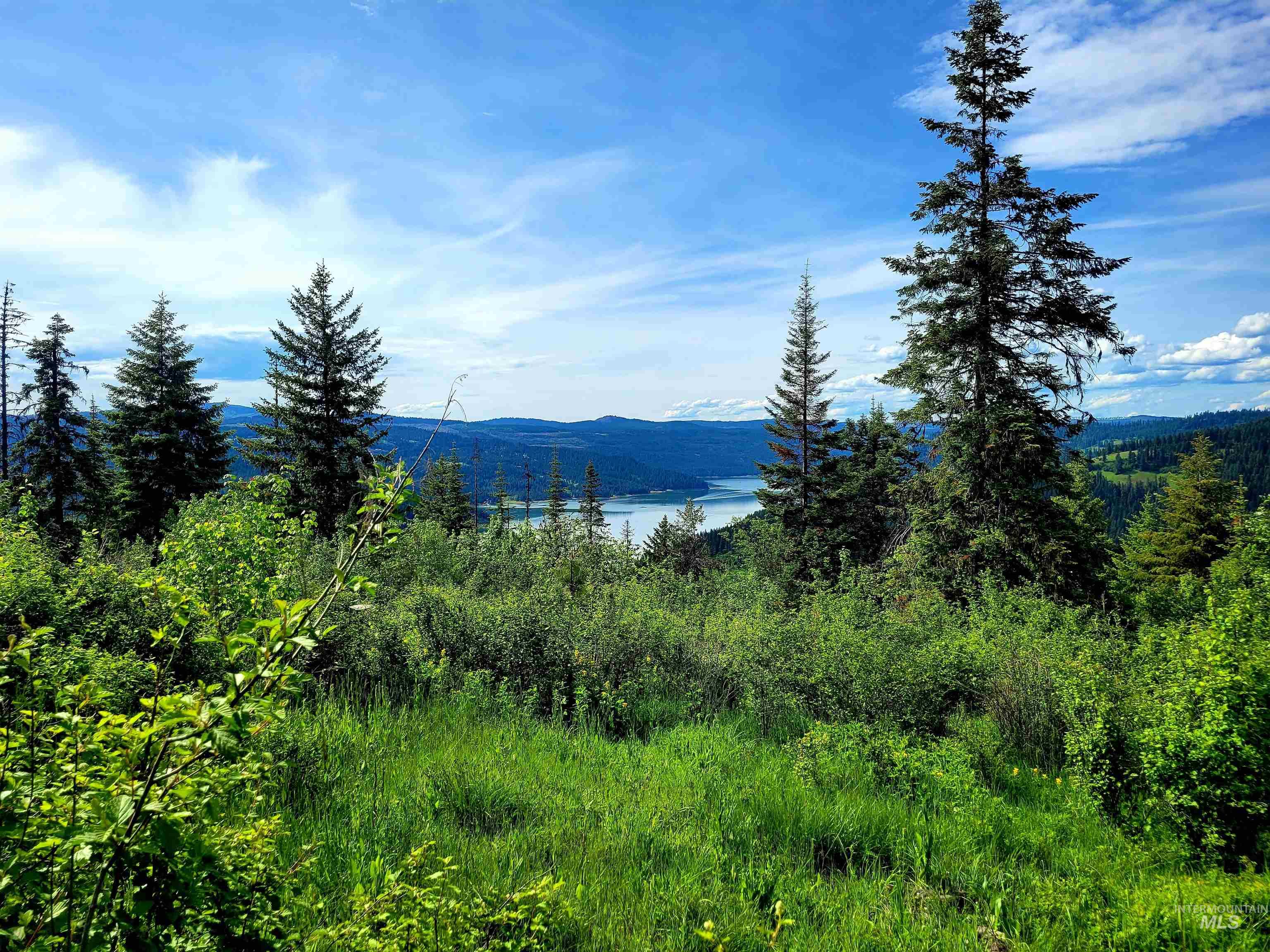 86 Moon River Lane, Orofino, Idaho 83544, Land For Sale, Price $299,000,MLS 98980195