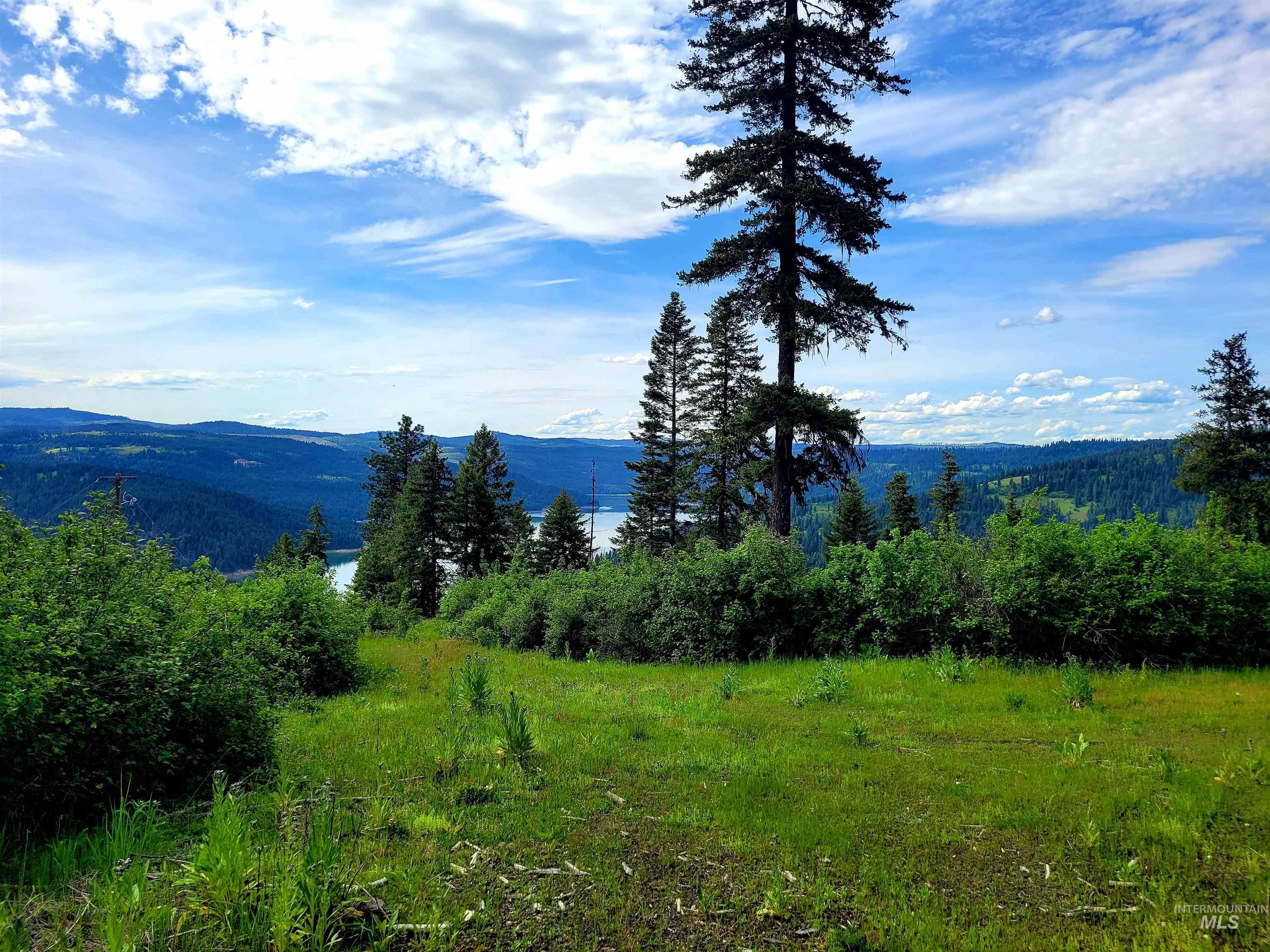 86 Moon River Lane, Orofino, Idaho 83544, Land For Sale, Price $289,000, 98980195
