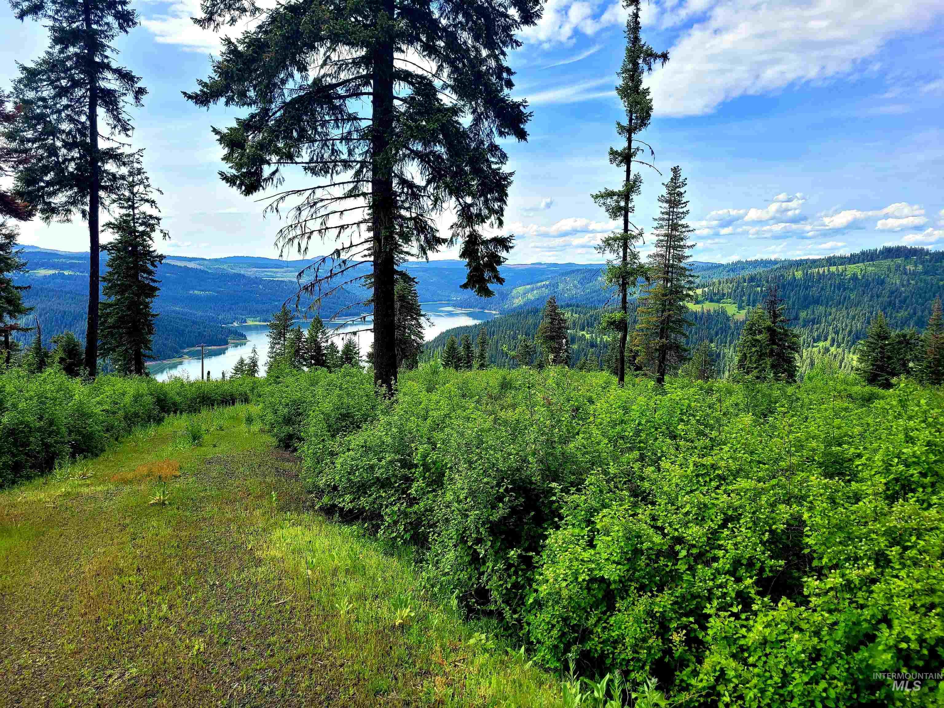 86 Moon River Lane, Orofino, Idaho 83544, Land For Sale, Price $299,000,MLS 98980195