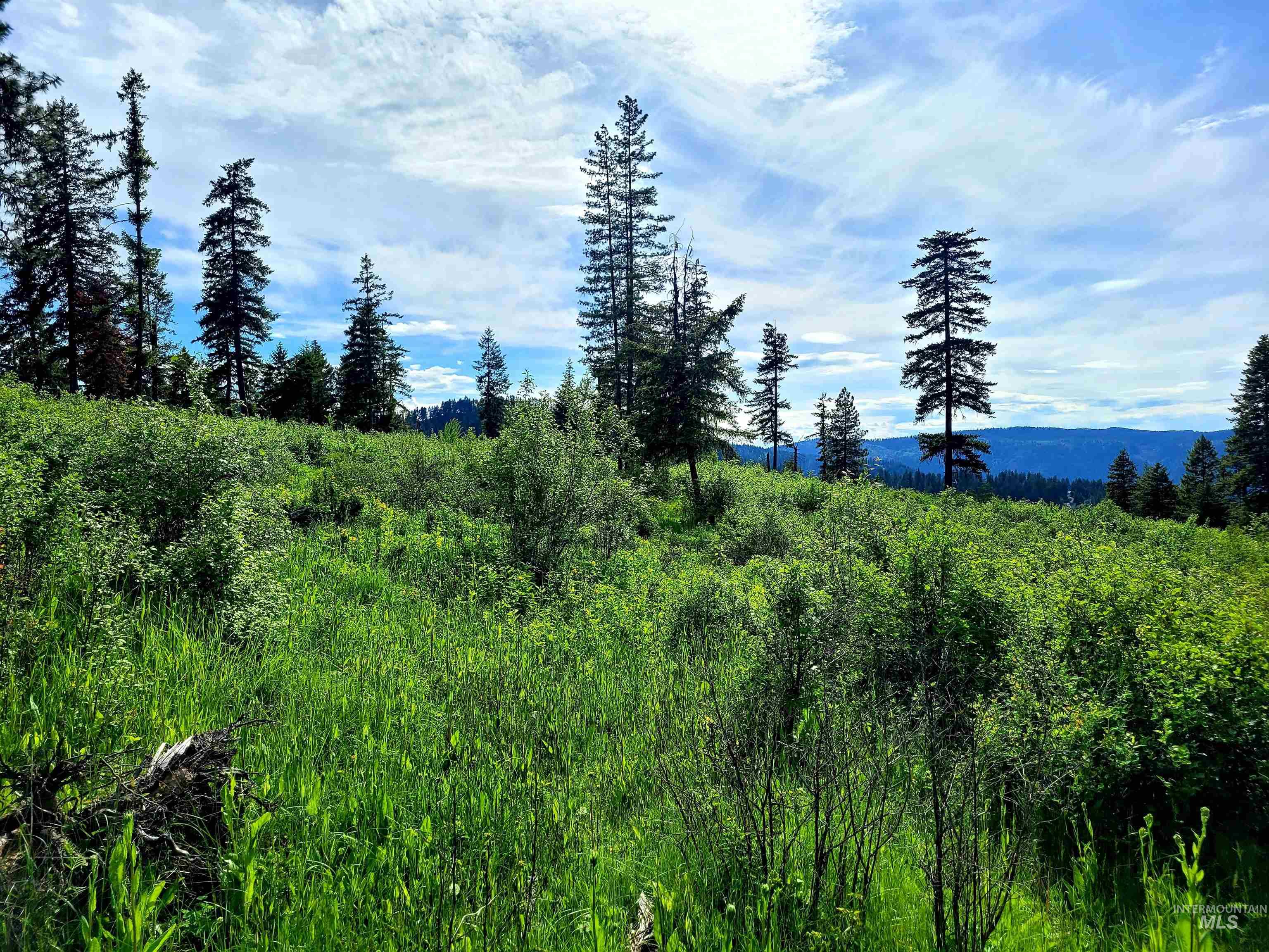 86 Moon River Lane, Orofino, Idaho 83544, Land For Sale, Price $289,000, 98980195