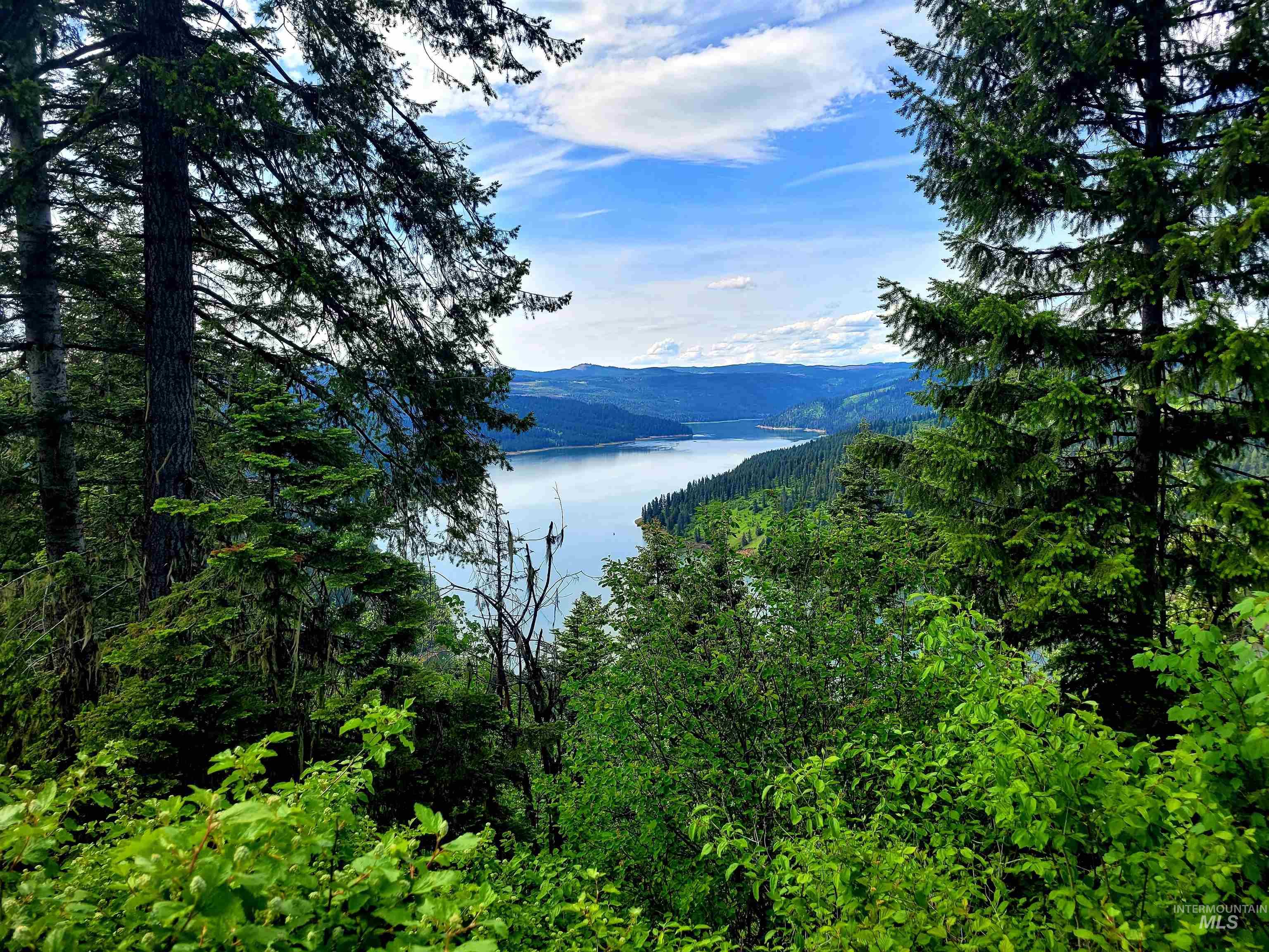 86 Moon River Lane, Orofino, Idaho 83544, Land For Sale, Price $299,000,MLS 98980195