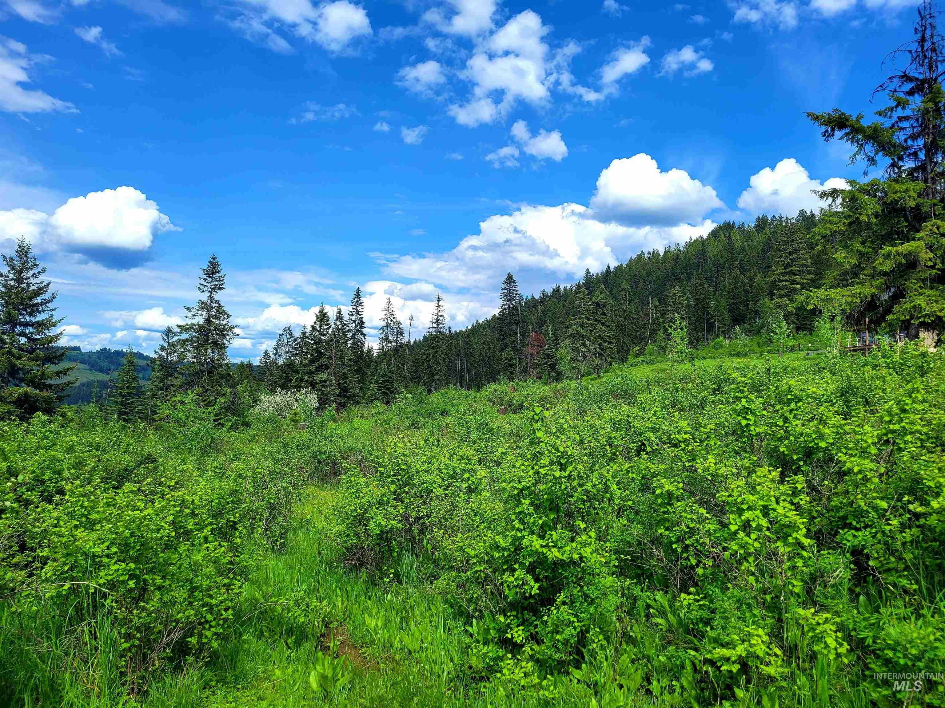 86 Moon River Lane, Orofino, Idaho 83544, Land For Sale, Price $299,000,MLS 98980195