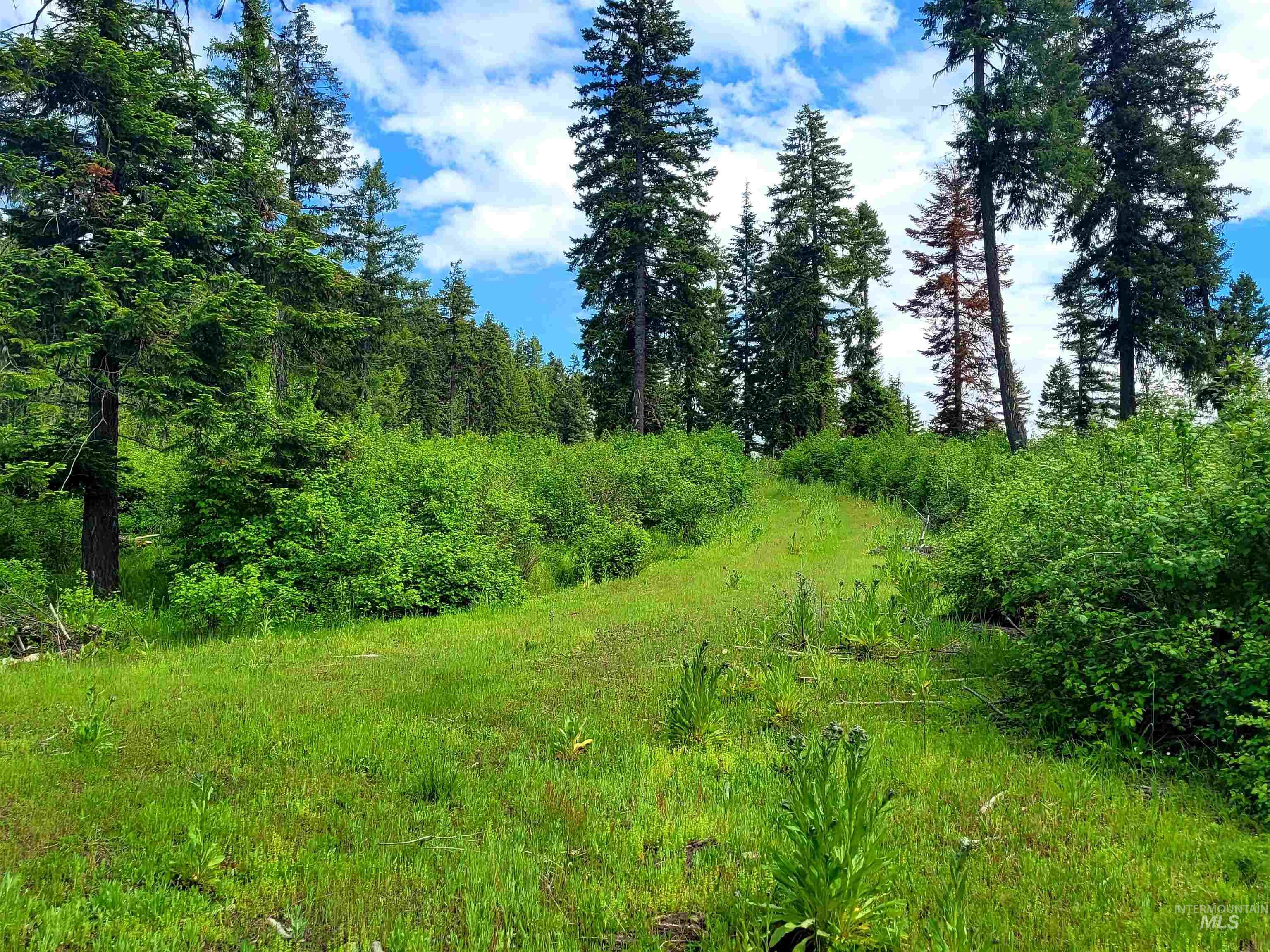 86 Moon River Lane, Orofino, Idaho 83544, Land For Sale, Price $299,000,MLS 98980195