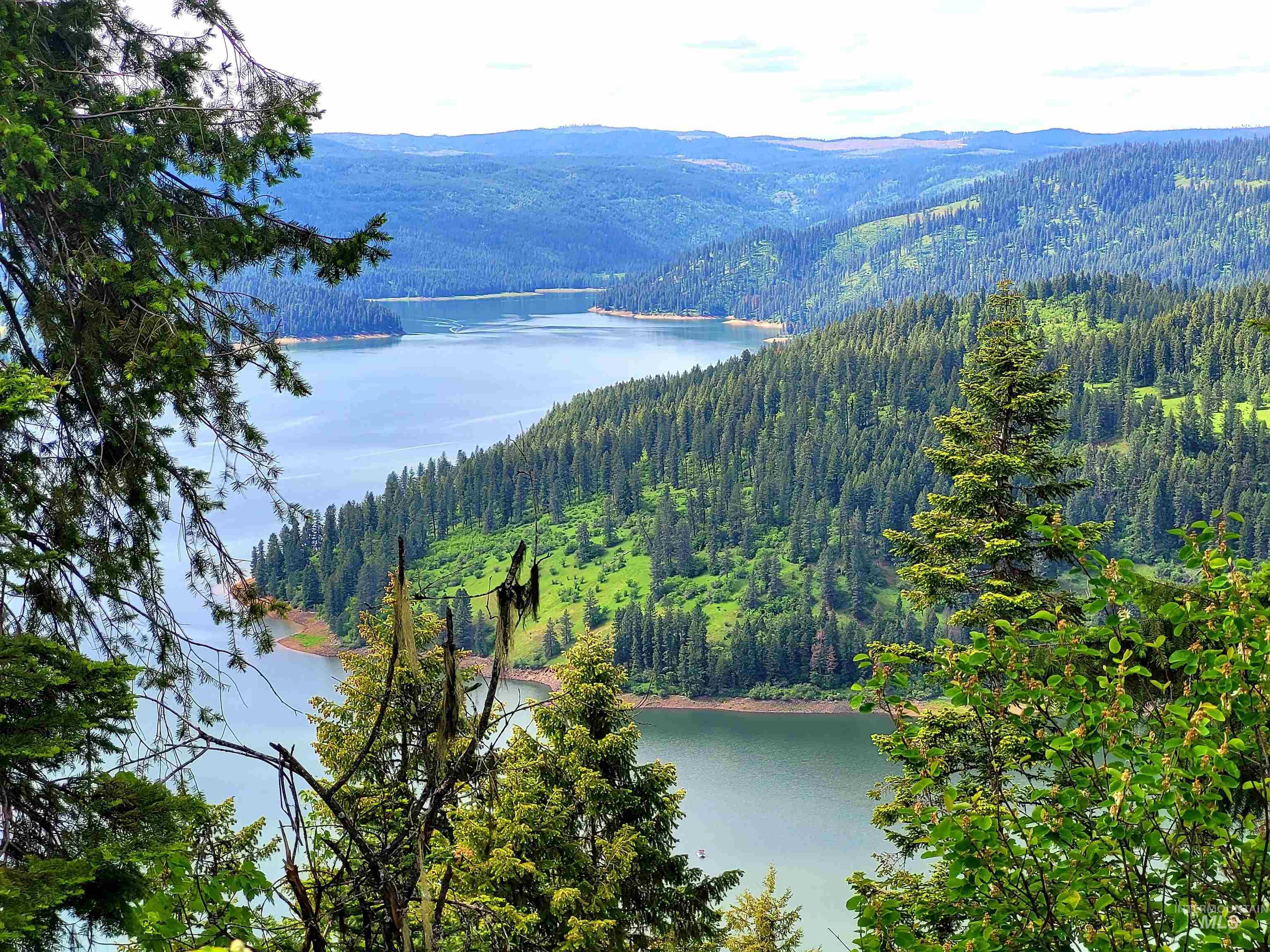 86 Moon River Lane, Orofino, Idaho 83544, Land For Sale, Price $289,000, 98980195