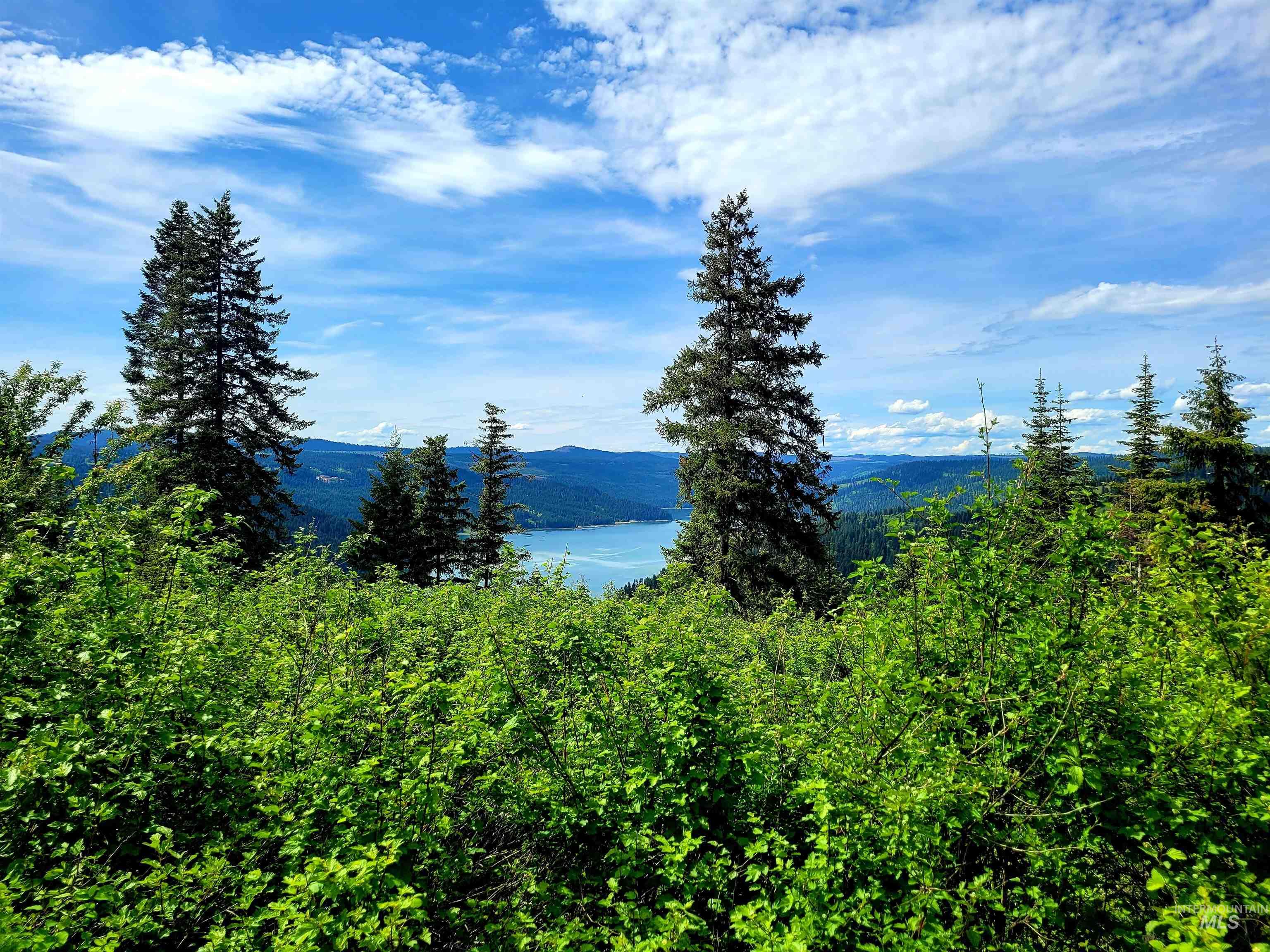 86 Moon River Lane, Orofino, Idaho 83544, Land For Sale, Price $299,000,MLS 98980195