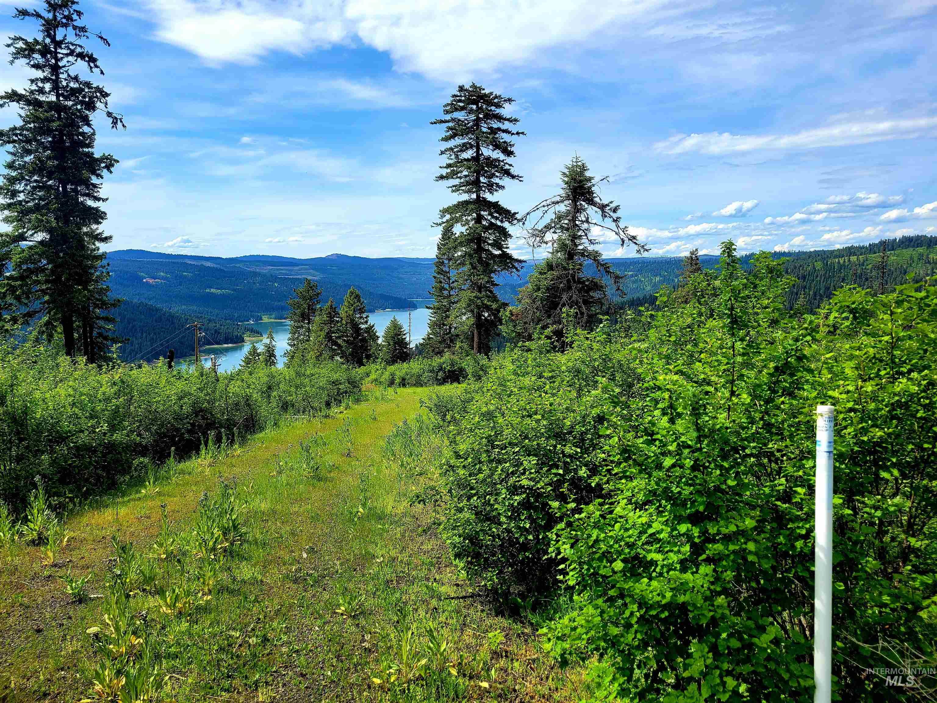 86 Moon River Lane, Orofino, Idaho 83544, Land For Sale, Price $299,000,MLS 98980195