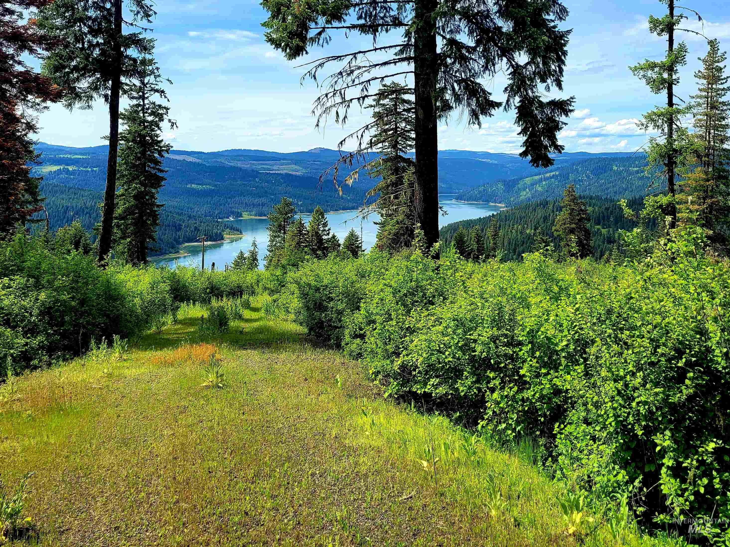 86 Moon River Lane, Orofino, Idaho 83544, Land For Sale, Price $299,000,MLS 98980195