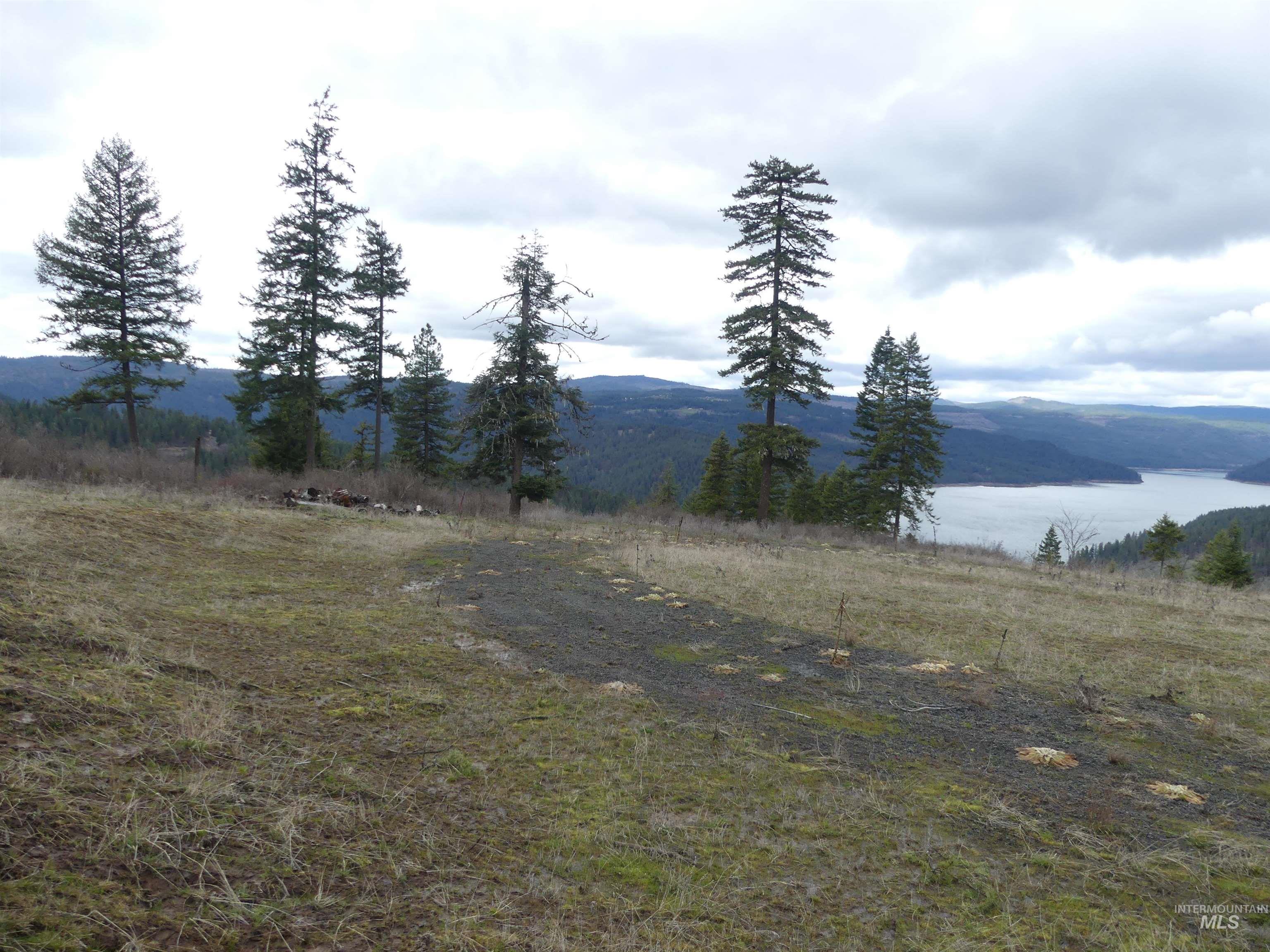 86 Moon River Lane, Orofino, Idaho 83544, Land For Sale, Price $289,000, 98980195