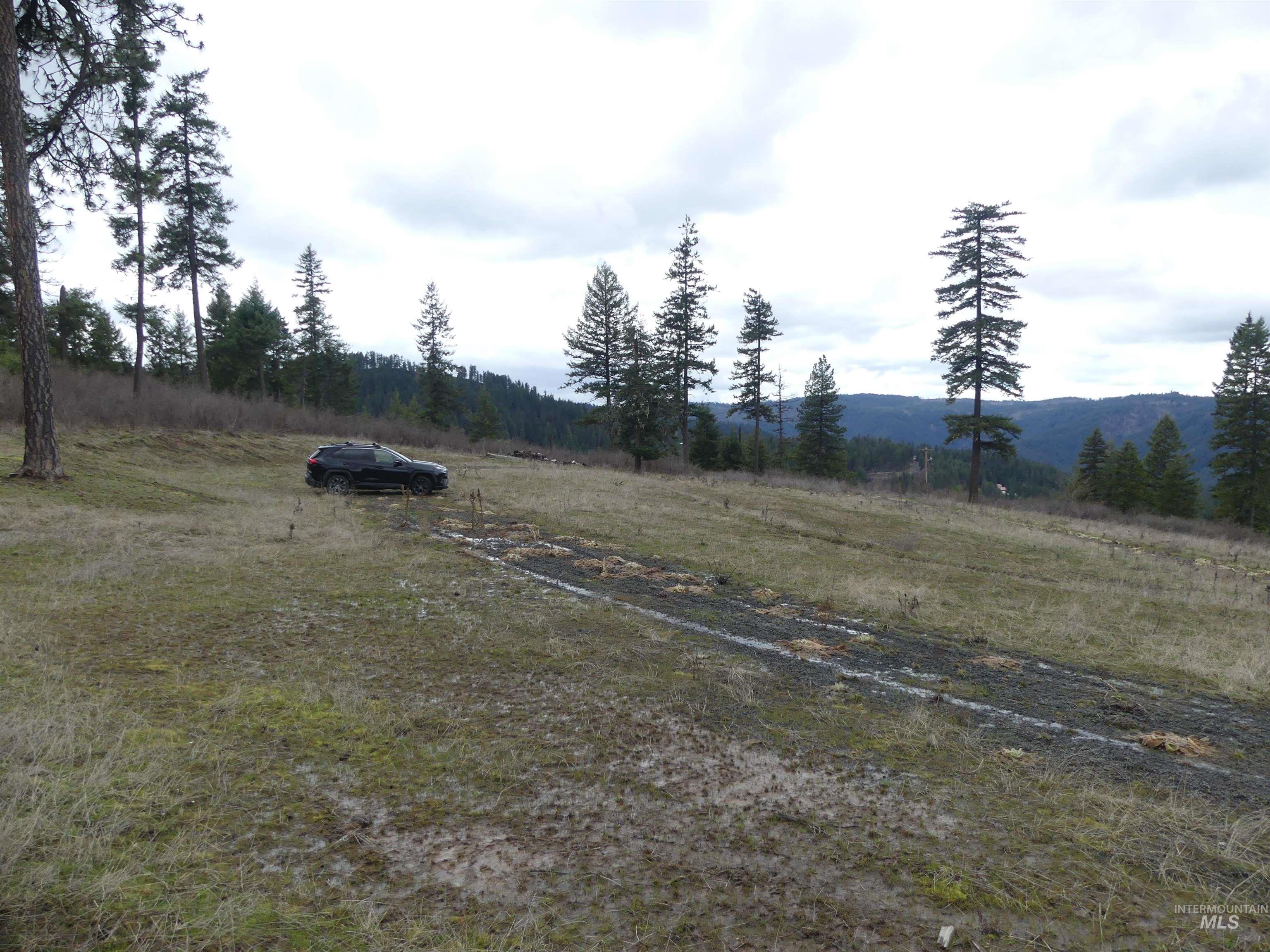 86 Moon River Lane, Orofino, Idaho 83544, Land For Sale, Price $289,000, 98980195