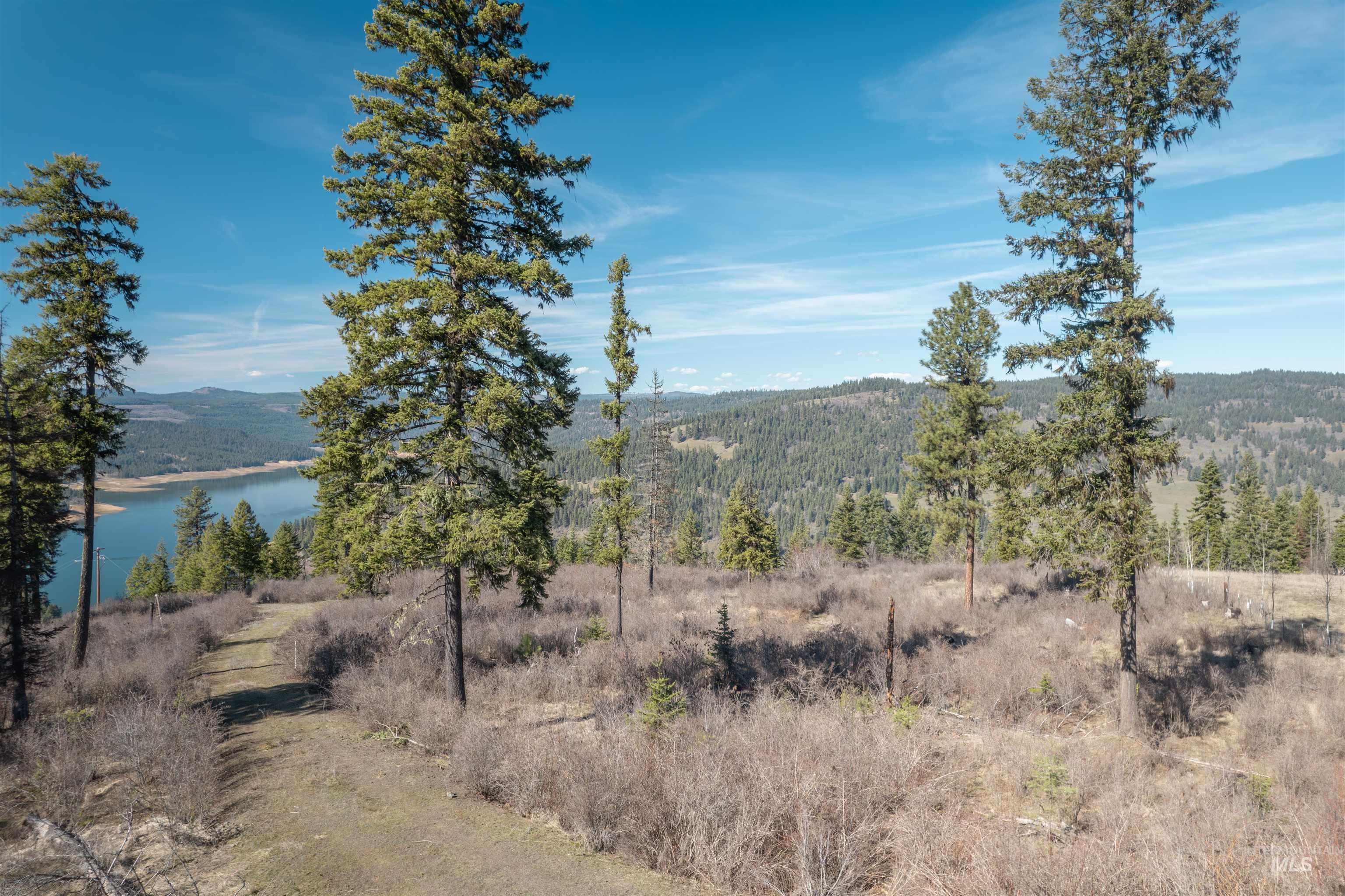 86 Moon River Lane, Orofino, Idaho 83544, Land For Sale, Price $299,000,MLS 98980195
