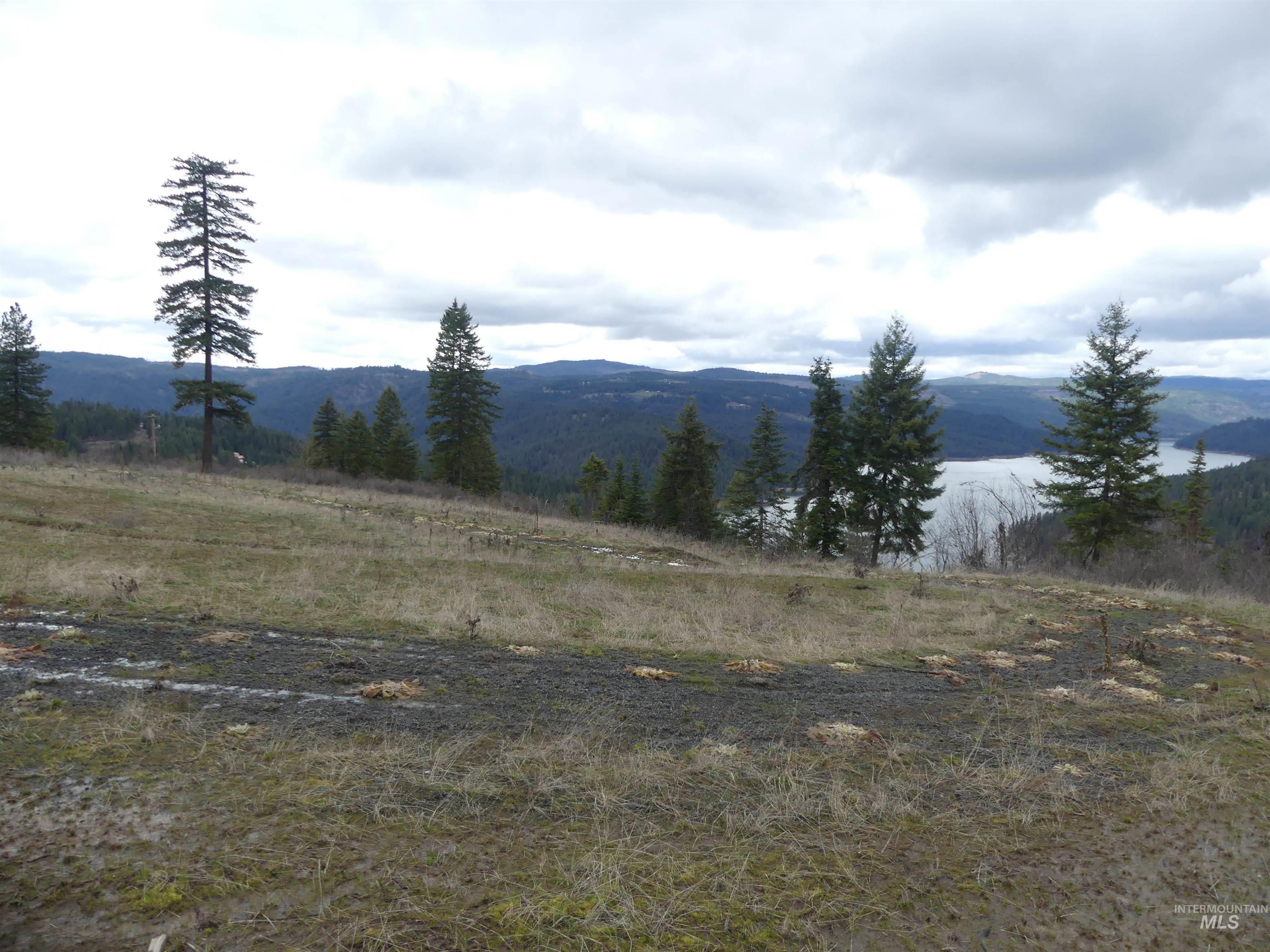 86 Moon River Lane, Orofino, Idaho 83544, Land For Sale, Price $289,000, 98980195