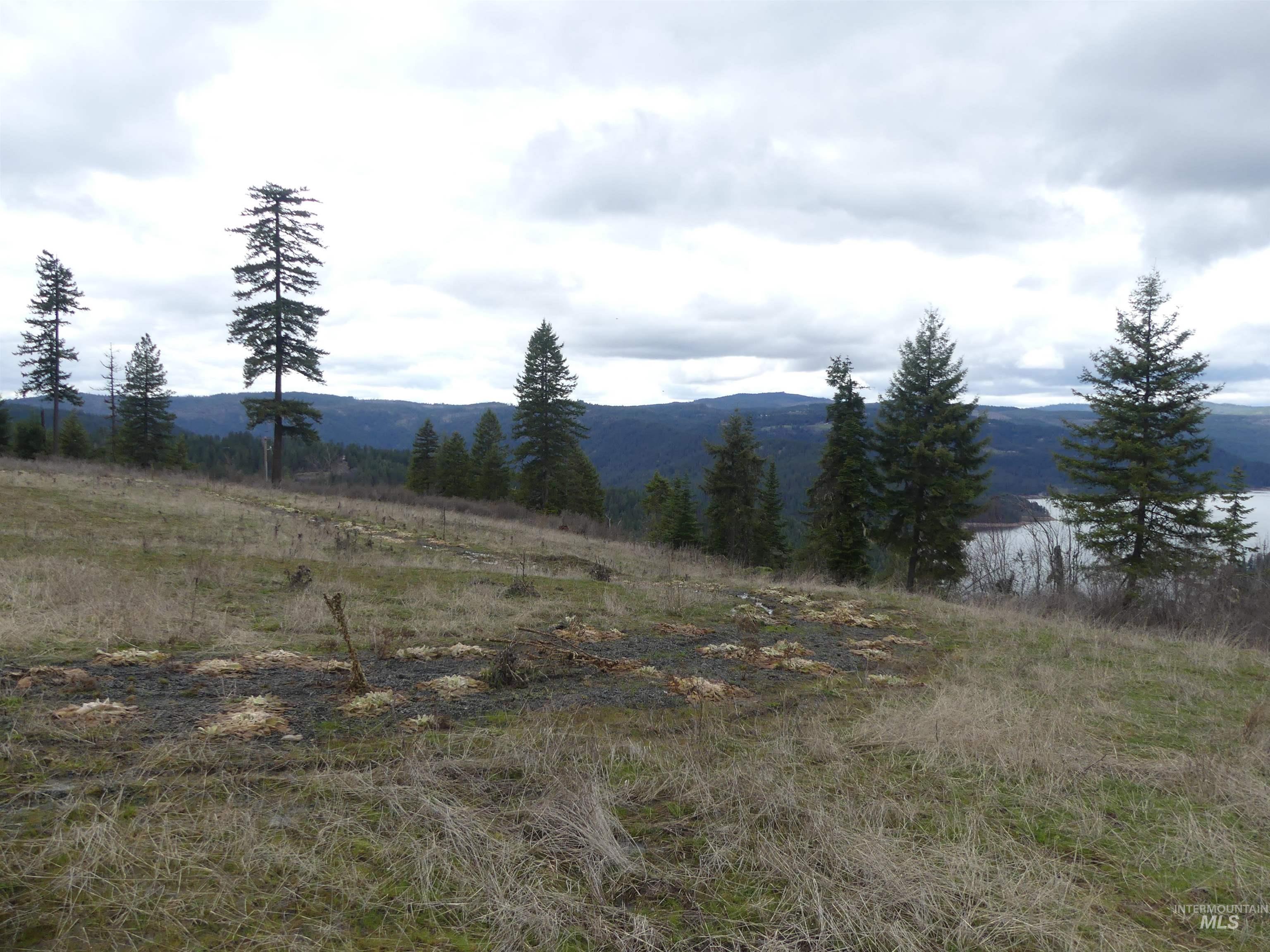 86 Moon River Lane, Orofino, Idaho 83544, Land For Sale, Price $289,000, 98980195