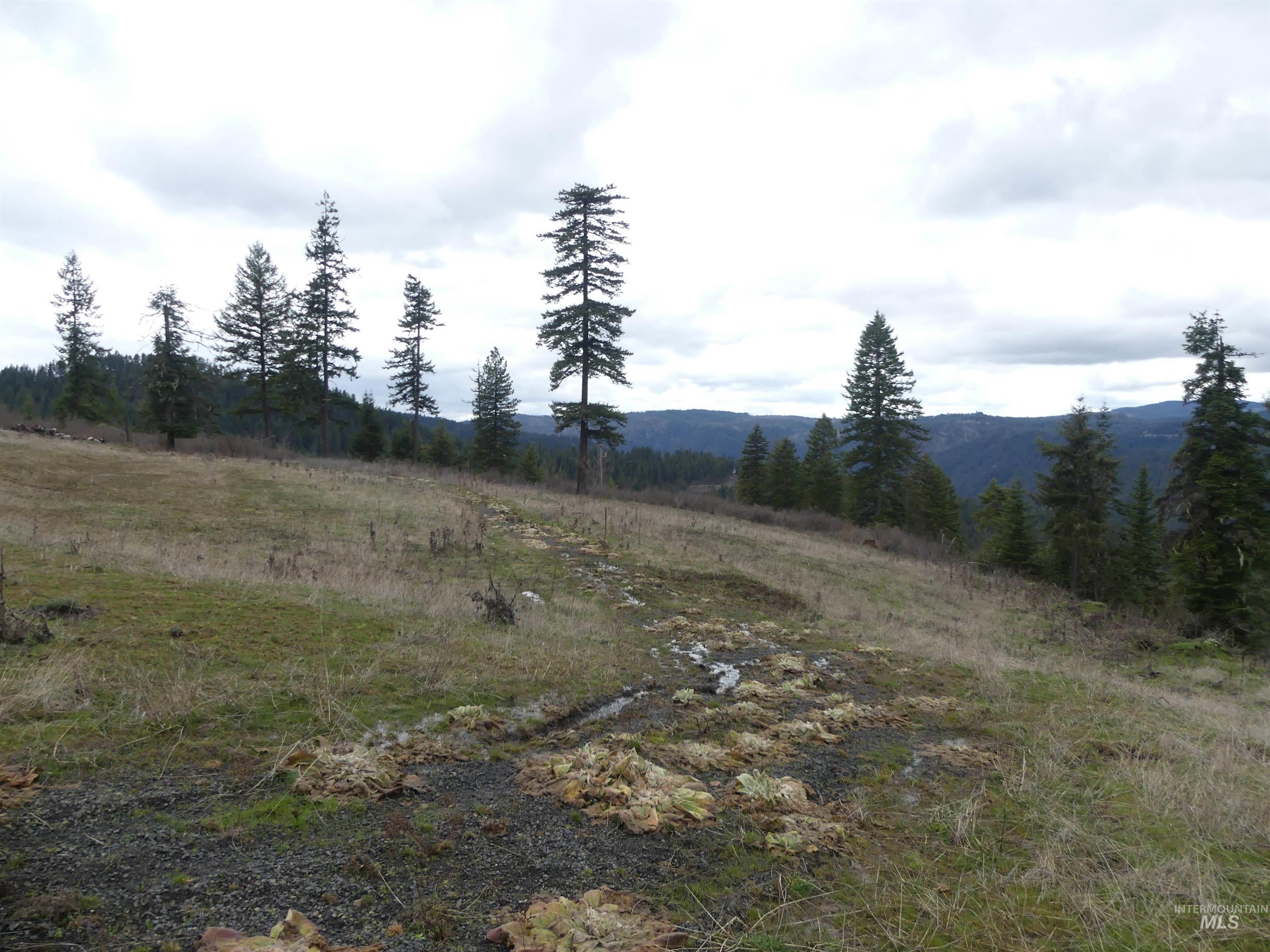 86 Moon River Lane, Orofino, Idaho 83544, Land For Sale, Price $289,000, 98980195