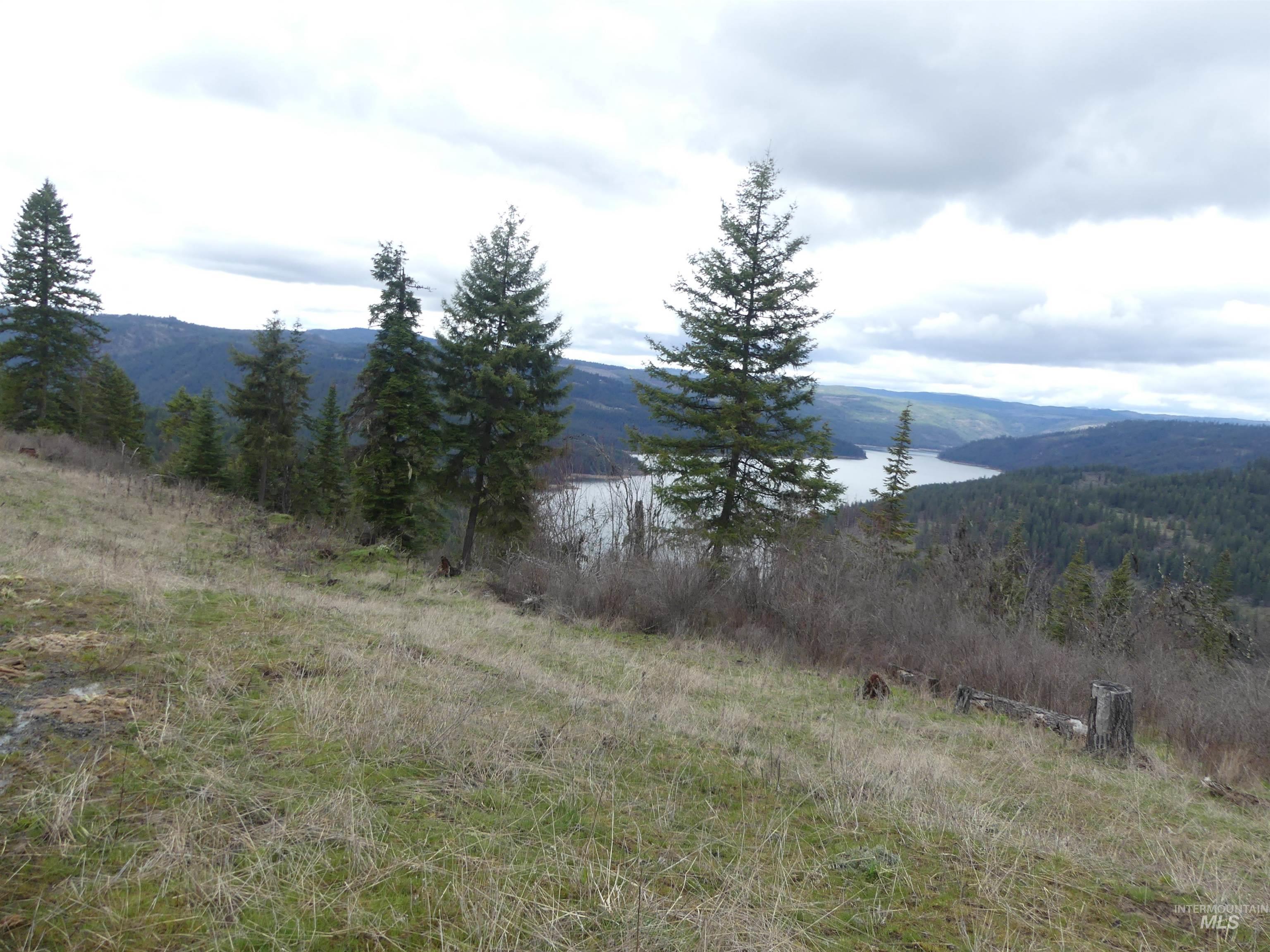 86 Moon River Lane, Orofino, Idaho 83544, Land For Sale, Price $289,000, 98980195