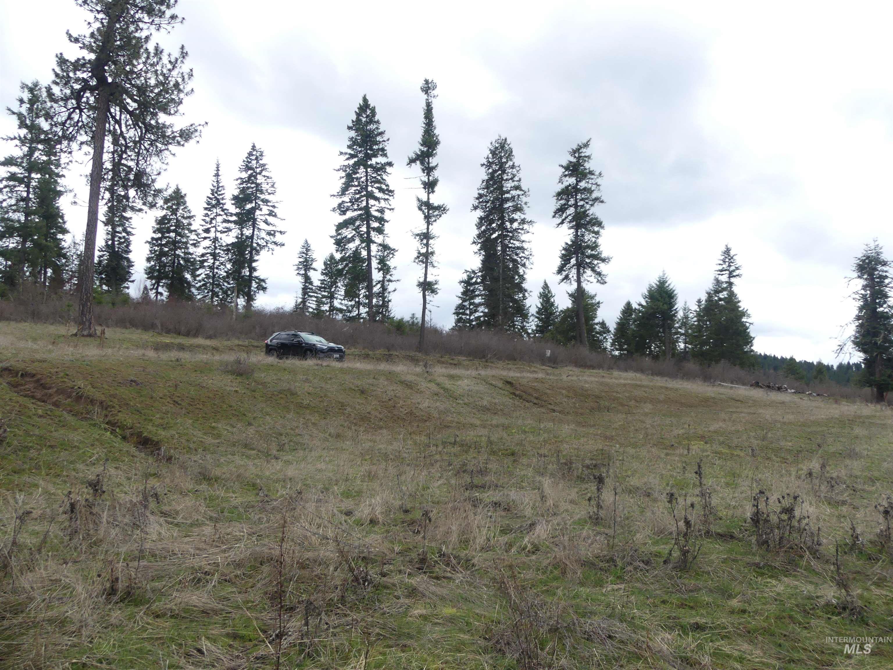 86 Moon River Lane, Orofino, Idaho 83544, Land For Sale, Price $289,000, 98980195