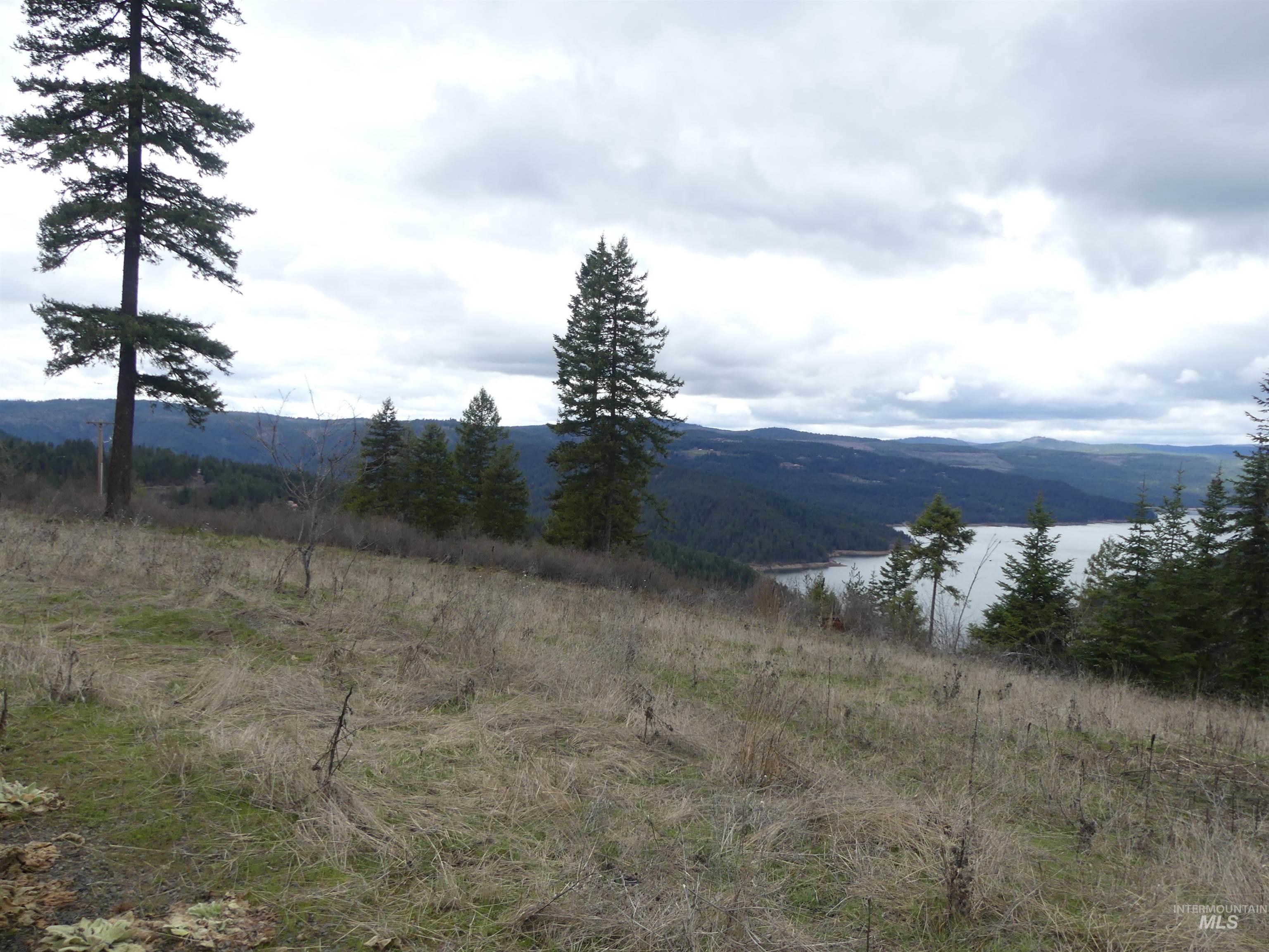 86 Moon River Lane, Orofino, Idaho 83544, Land For Sale, Price $289,000, 98980195