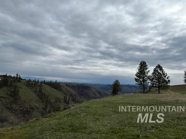 281 Flying Elk Drive, Kamiah, Idaho 83536, Land For Sale, Price $287,500,MLS 98980206