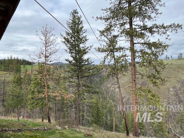 281 Flying Elk Drive, Kamiah, Idaho 83536, Land For Sale, Price $287,500,MLS 98980206