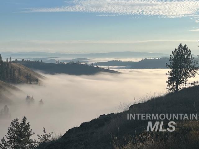 281 Flying Elk Drive, Kamiah, Idaho 83536, Land For Sale, Price $287,500,MLS 98980206