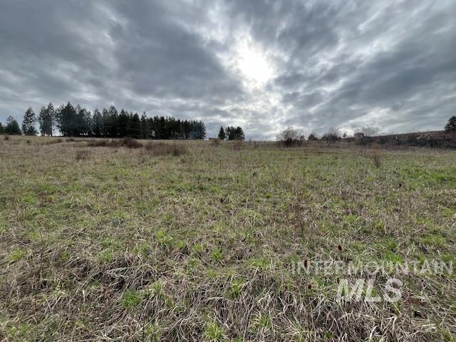 281 Flying Elk Drive, Kamiah, Idaho 83536, Land For Sale, Price $287,500,MLS 98980206