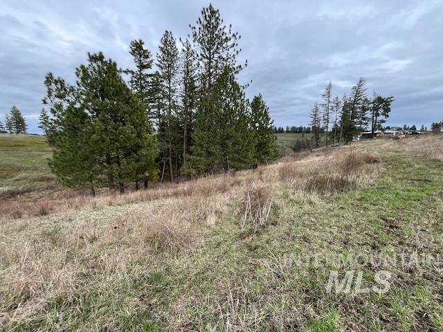 281 Flying Elk Drive, Kamiah, Idaho 83536, Land For Sale, Price $287,500,MLS 98980206