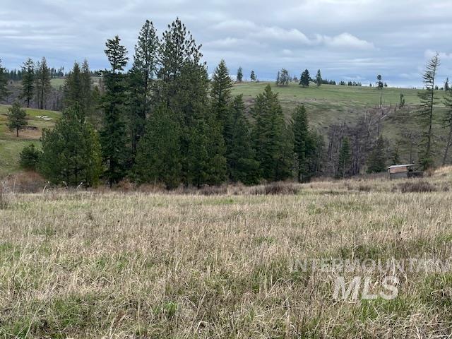 281 Flying Elk Drive, Kamiah, Idaho 83536, Land For Sale, Price $287,500,MLS 98980206