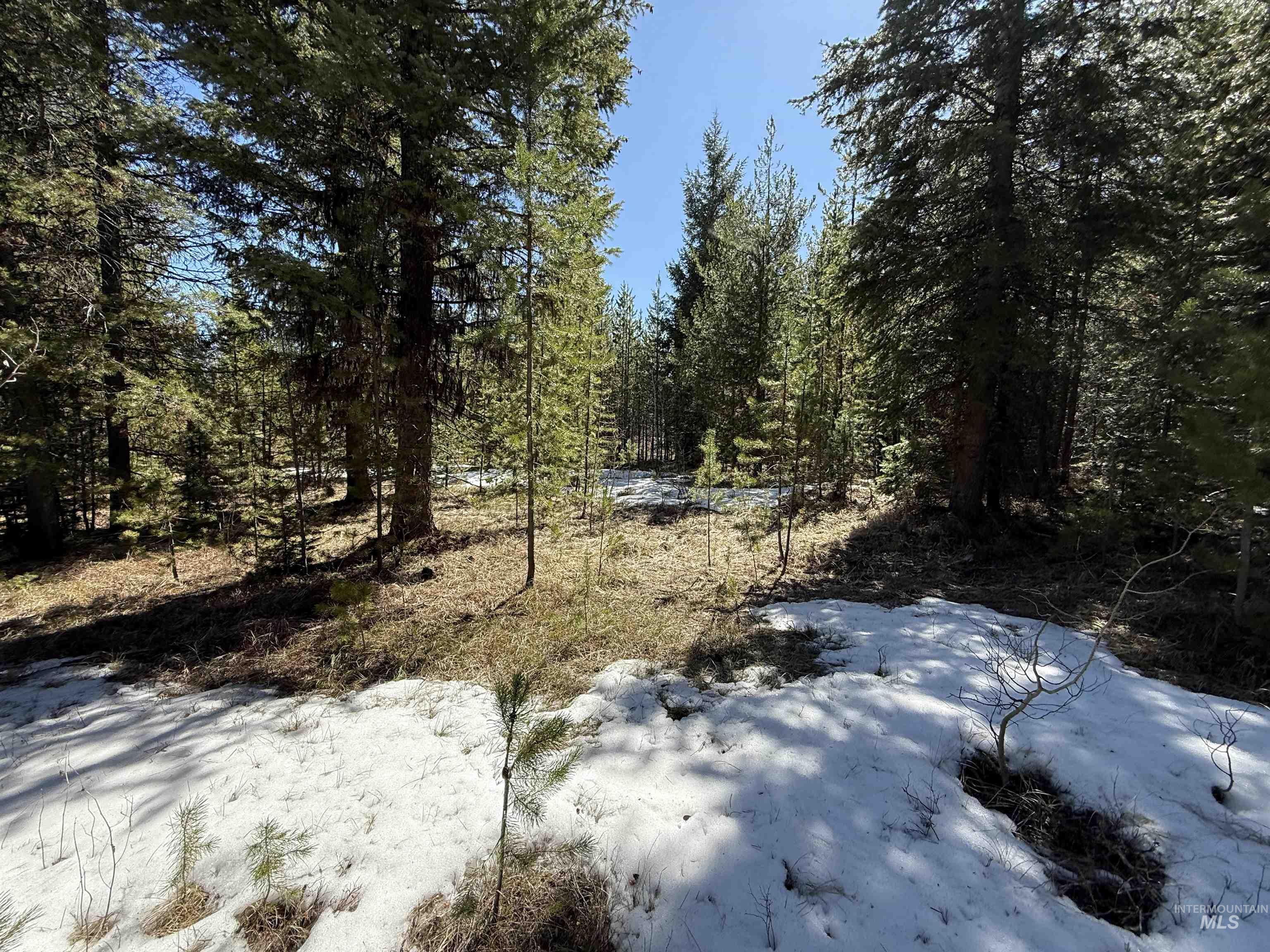 8 Haymaker CT, McCall, Idaho 83638, Land For Sale, Price $179,000,MLS 98980208
