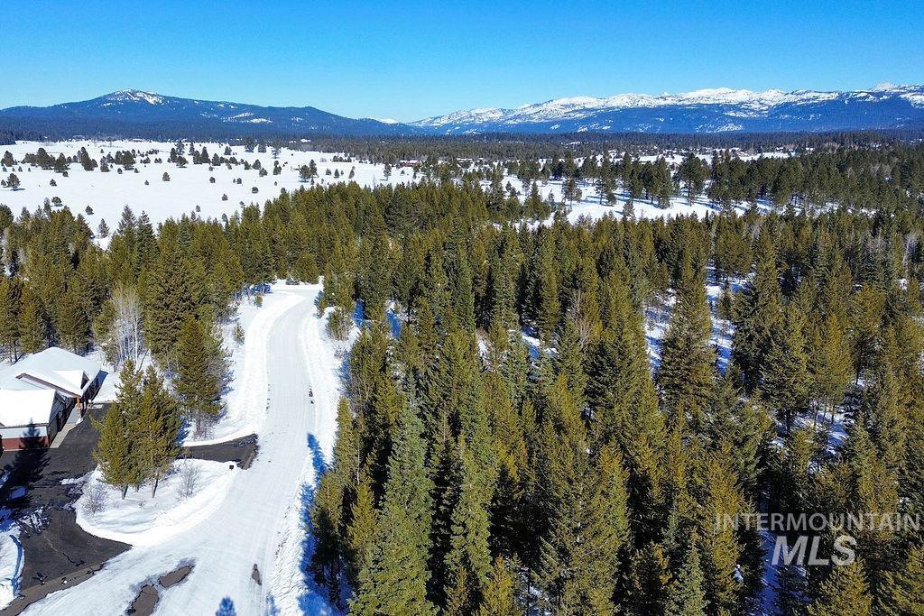 8 Haymaker CT, McCall, Idaho 83638, Land For Sale, Price $179,000,MLS 98980208