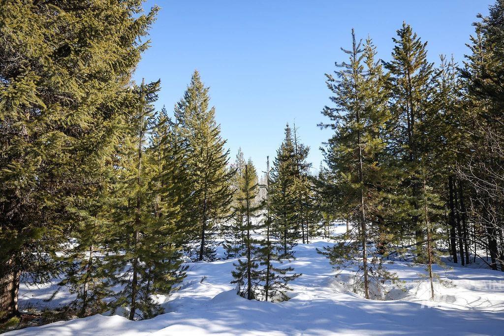 8 Haymaker CT, McCall, Idaho 83638, Land For Sale, Price $179,000,MLS 98980208