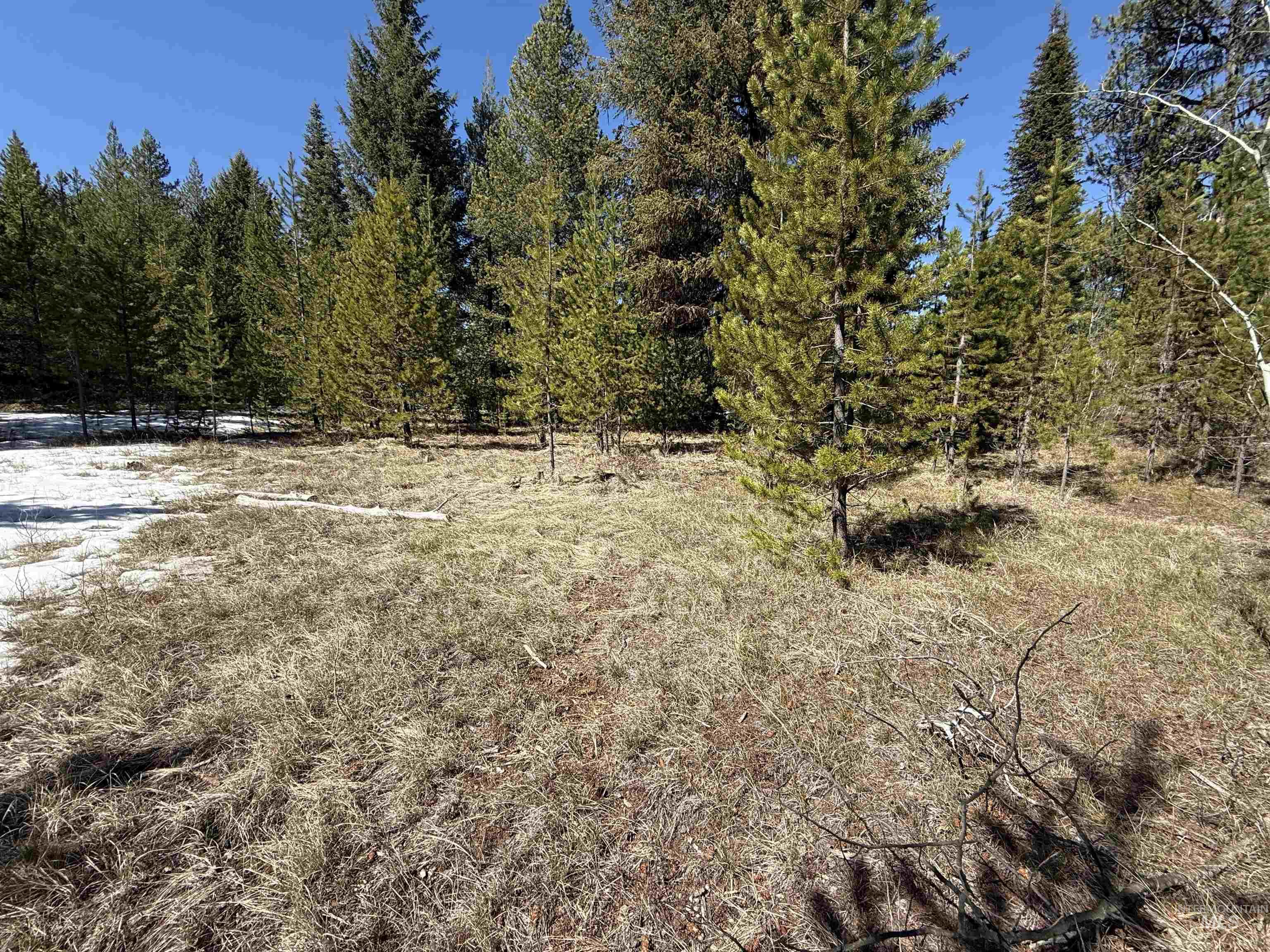 8 Haymaker CT, McCall, Idaho 83638, Land For Sale, Price $179,000,MLS 98980208