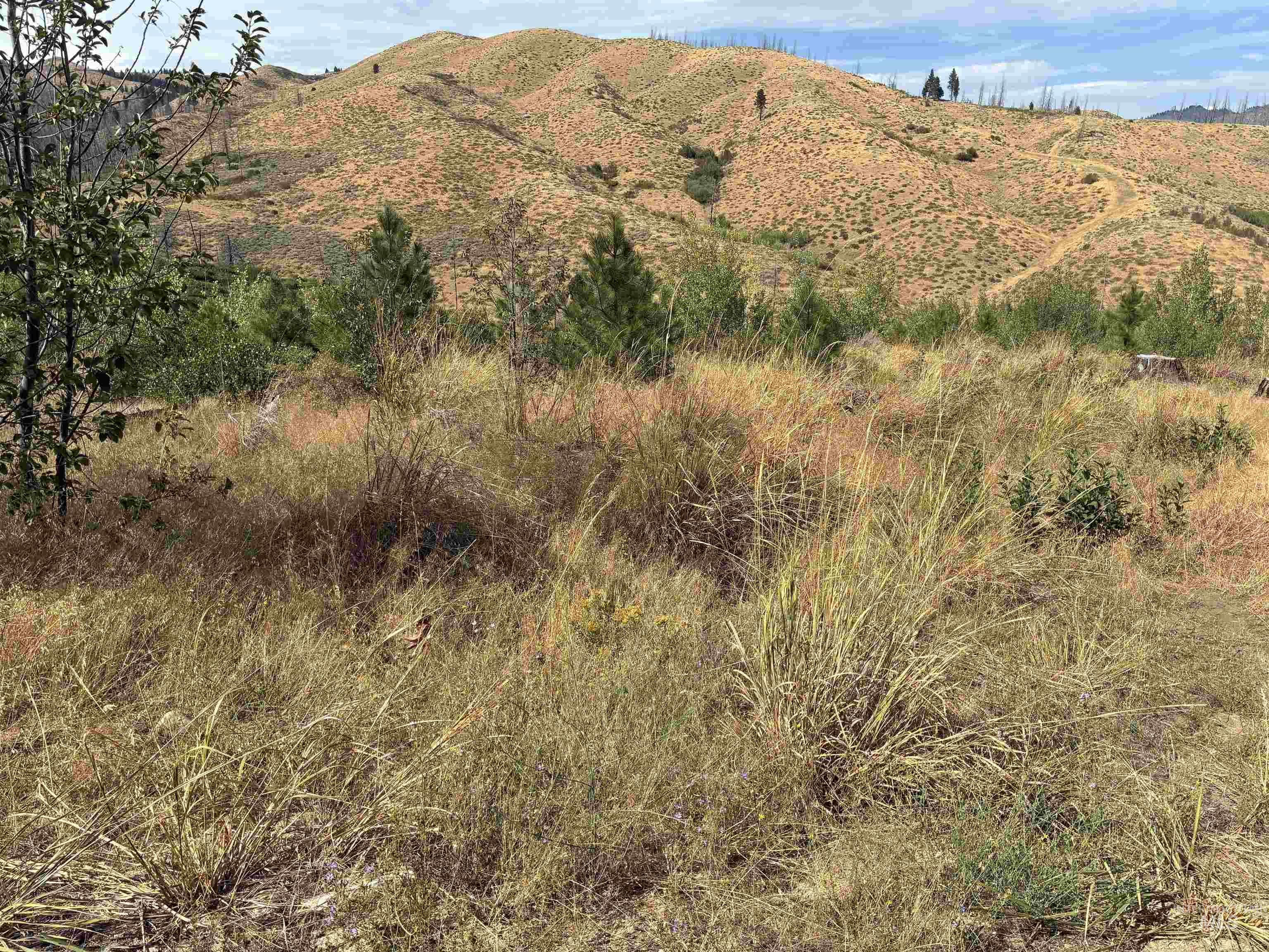 LOT 7E W Fircrest Dr, Pine, Idaho 83647, Land For Sale, Price $279,900,MLS 98980210