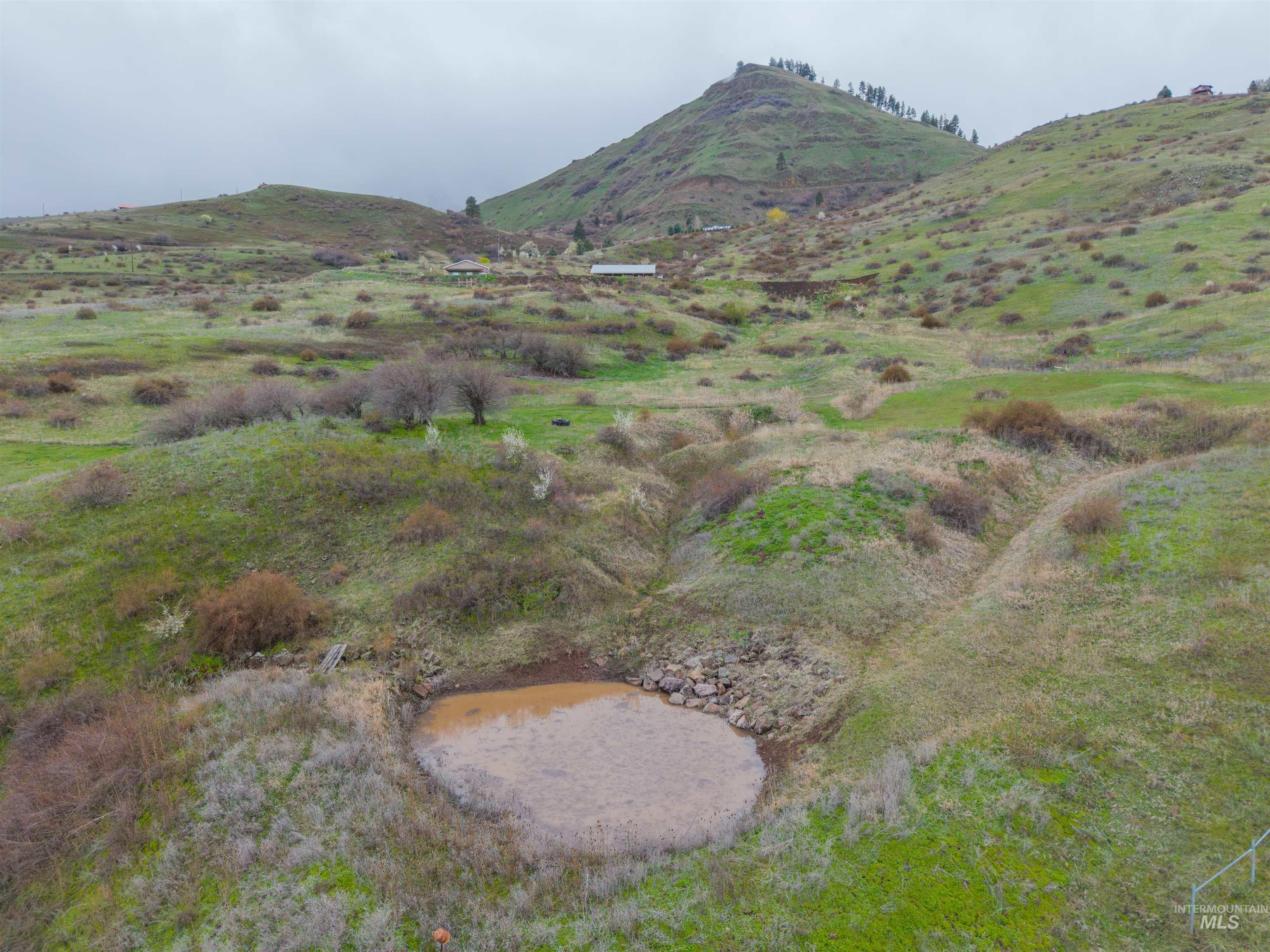 915 Doumecq Road, White Bird, Idaho 83554, 4 Bedrooms, 3.5 Bathrooms, Residential For Sale, Price $925,000,MLS 98980230