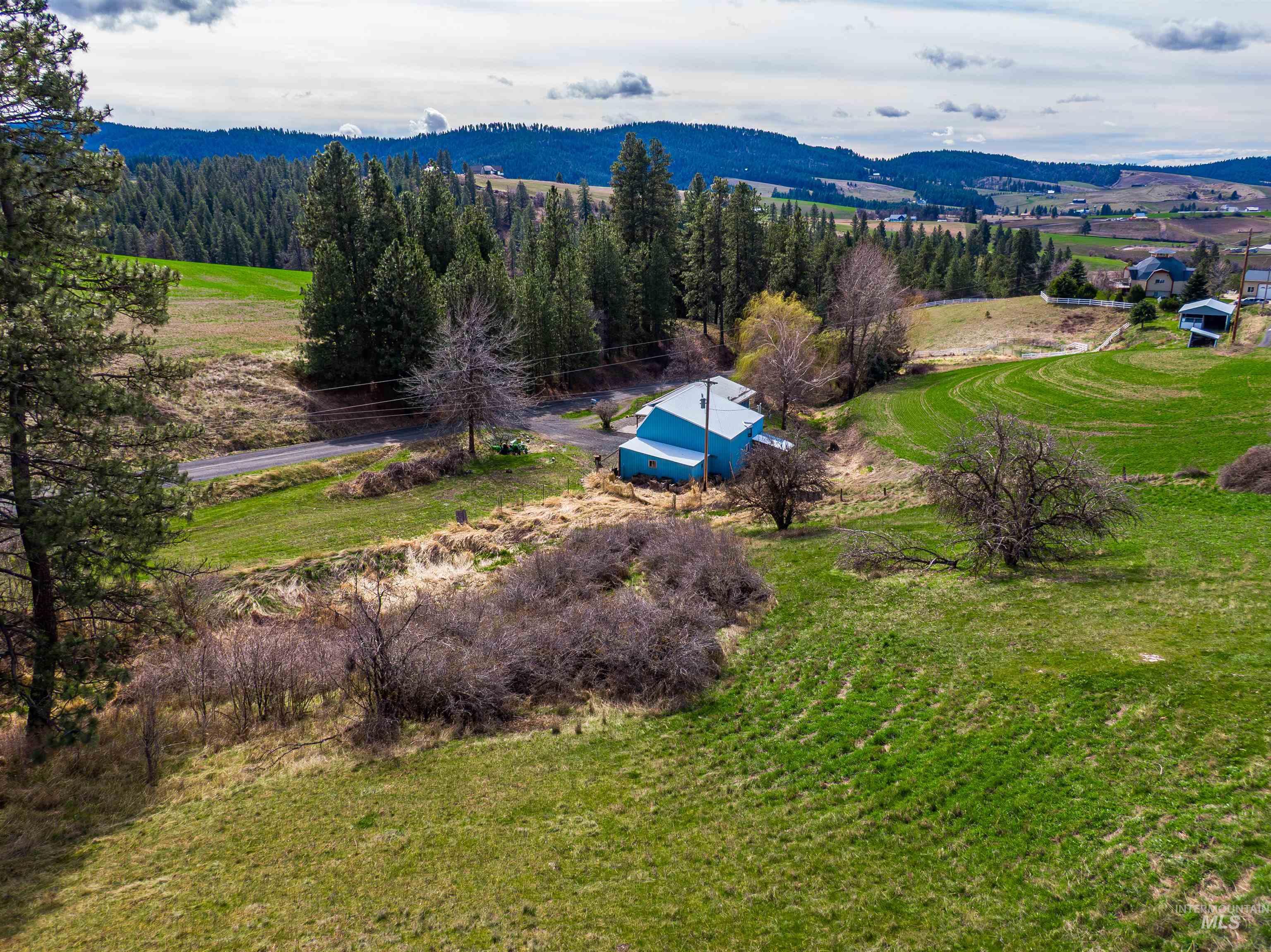 1161 Chaney Rd, Viola, Idaho 83872, 3 Bedrooms, 1 Bathroom, Residential For Sale, Price $375,000, 98980253