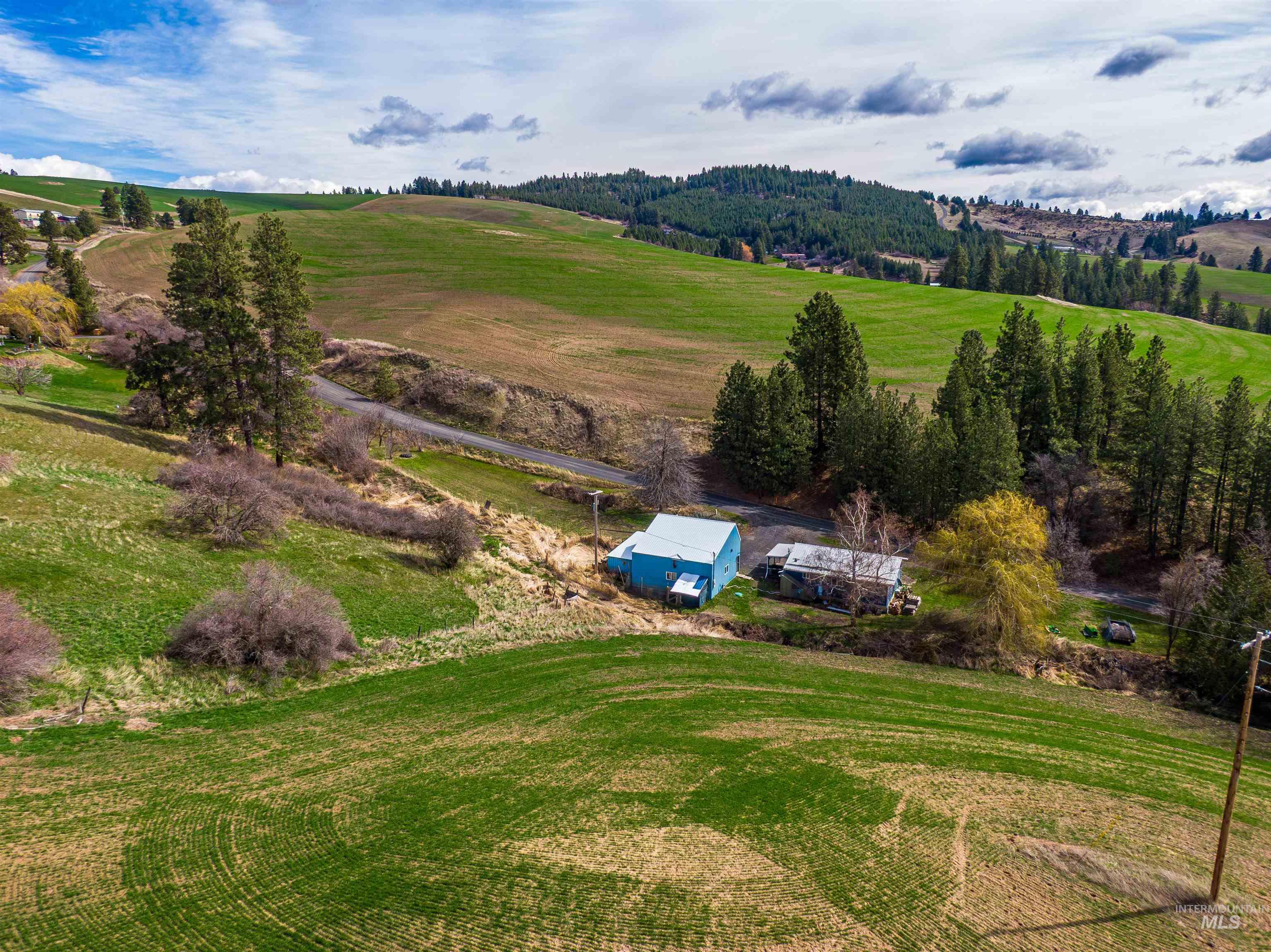 1161 Chaney Rd, Viola, Idaho 83872, 3 Bedrooms, 1 Bathroom, Residential For Sale, Price $375,000, 98980253
