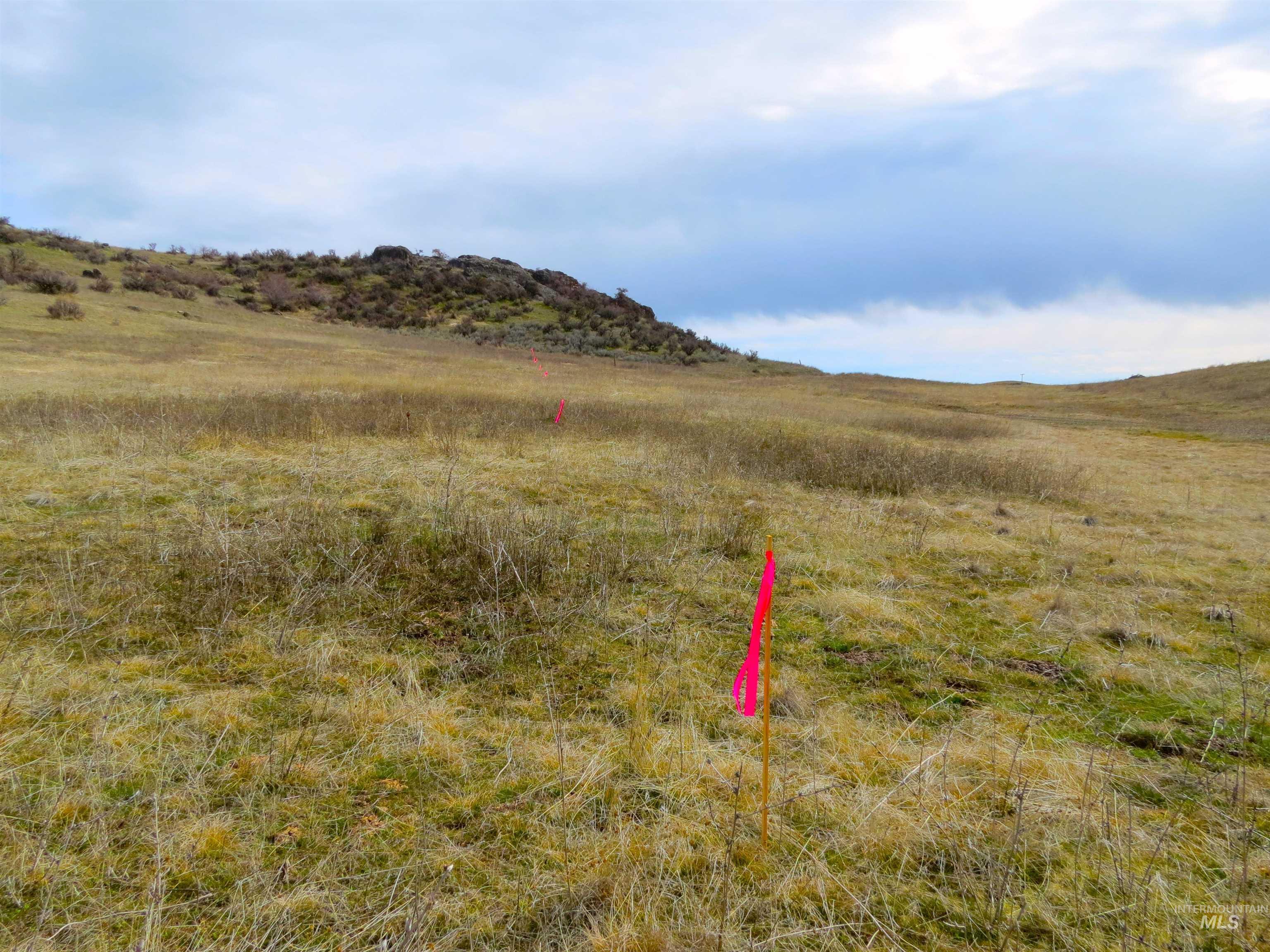 Parcel A Timber Flat Rd., Ola, Idaho 83657, Land For Sale, Price $399,000,MLS 98980272