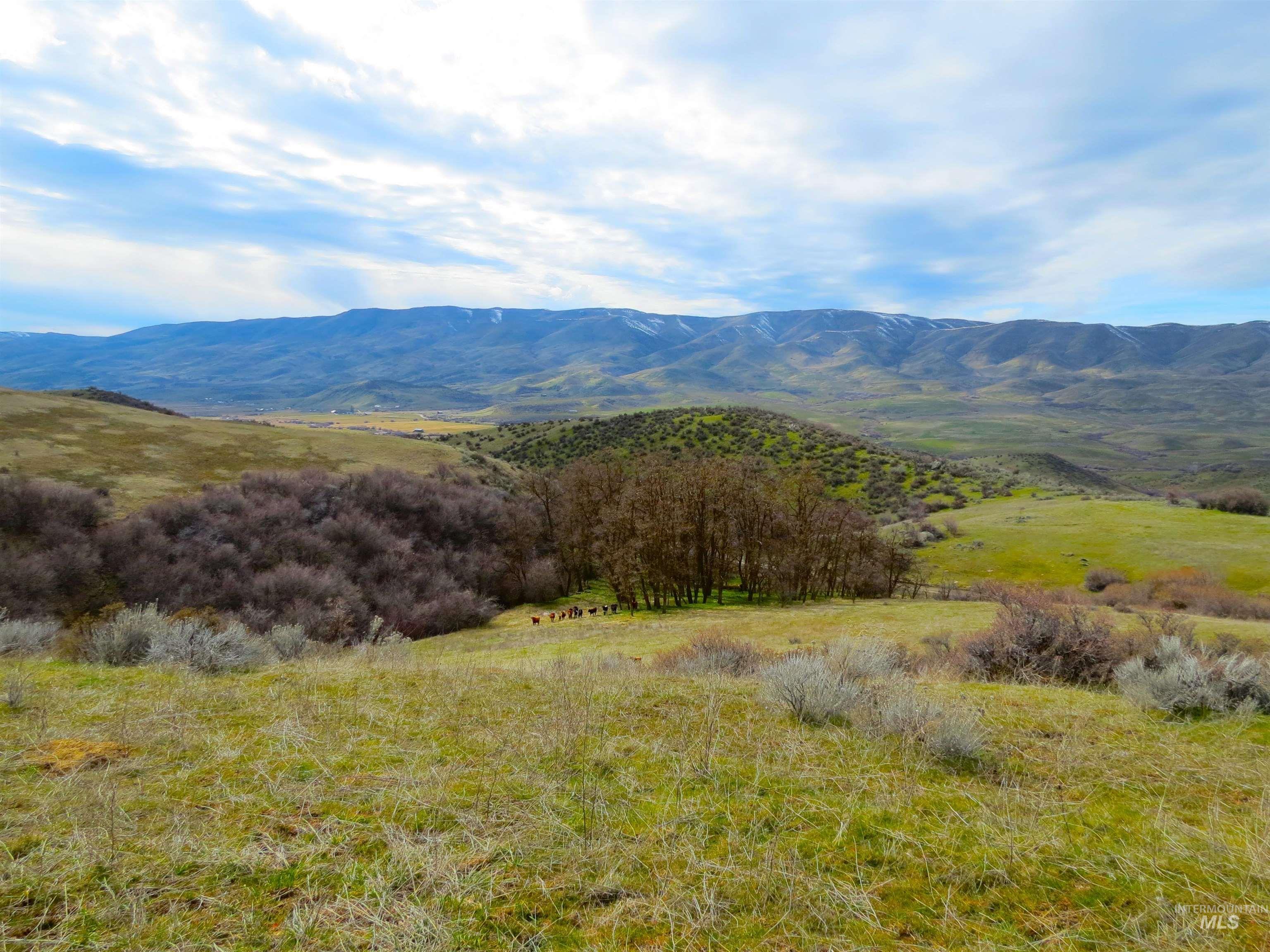Parcel A Timber Flat Rd., Ola, Idaho 83657, Land For Sale, Price $399,000,MLS 98980272