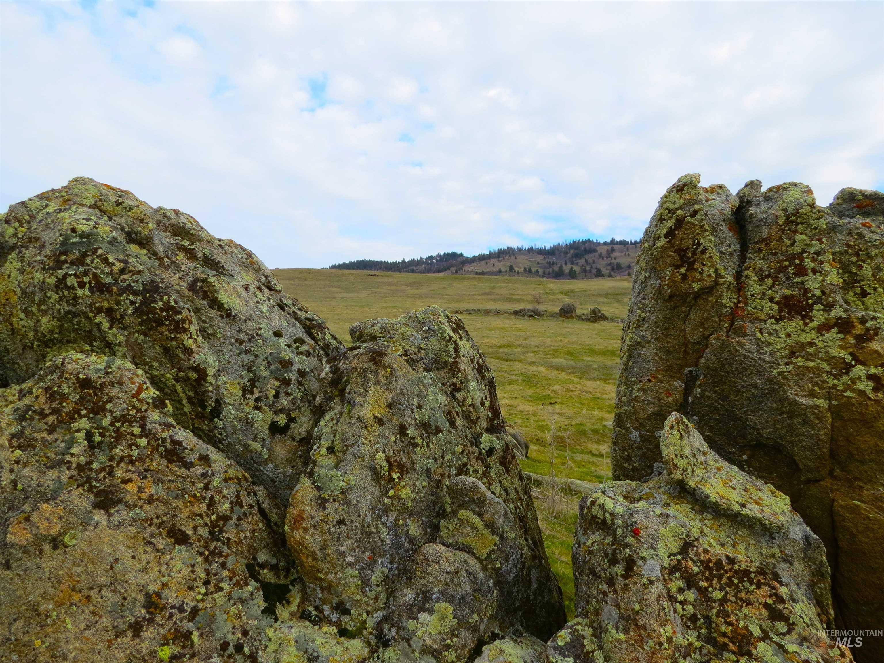 Parcel A Timber Flat Rd., Ola, Idaho 83657, Land For Sale, Price $399,000,MLS 98980272