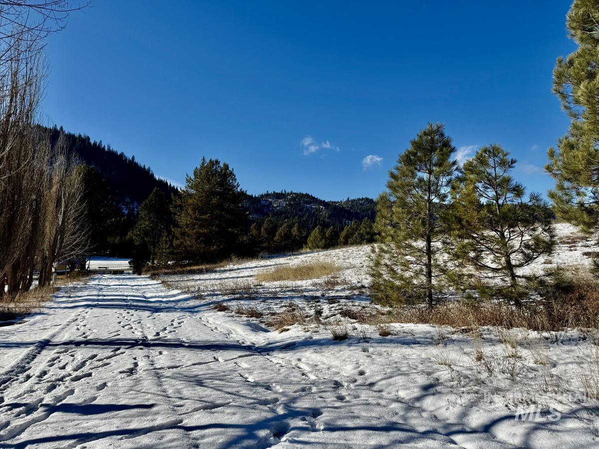 Ptn Lot 7 Packer John Road, Cascade, Idaho 83611, Land For Sale, Price $175,000,MLS 98980274