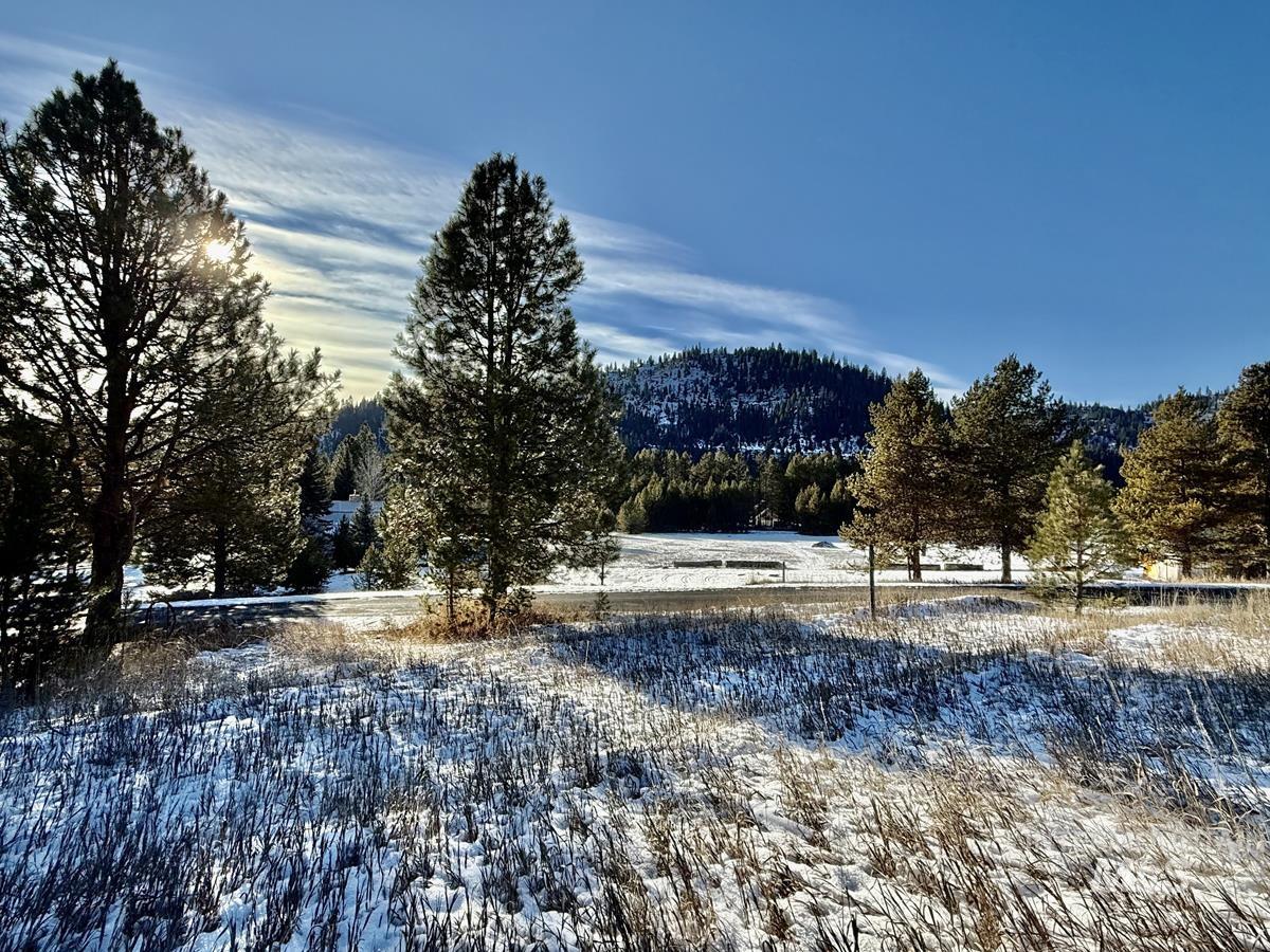 Ptn Lot 7 Packer John Road, Cascade, Idaho 83611, Land For Sale, Price $175,000,MLS 98980274
